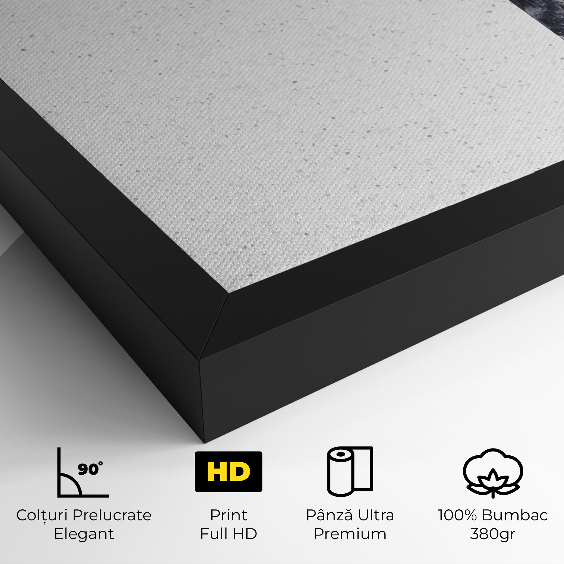 Tablou Canvas Big Hexagon mockup 4