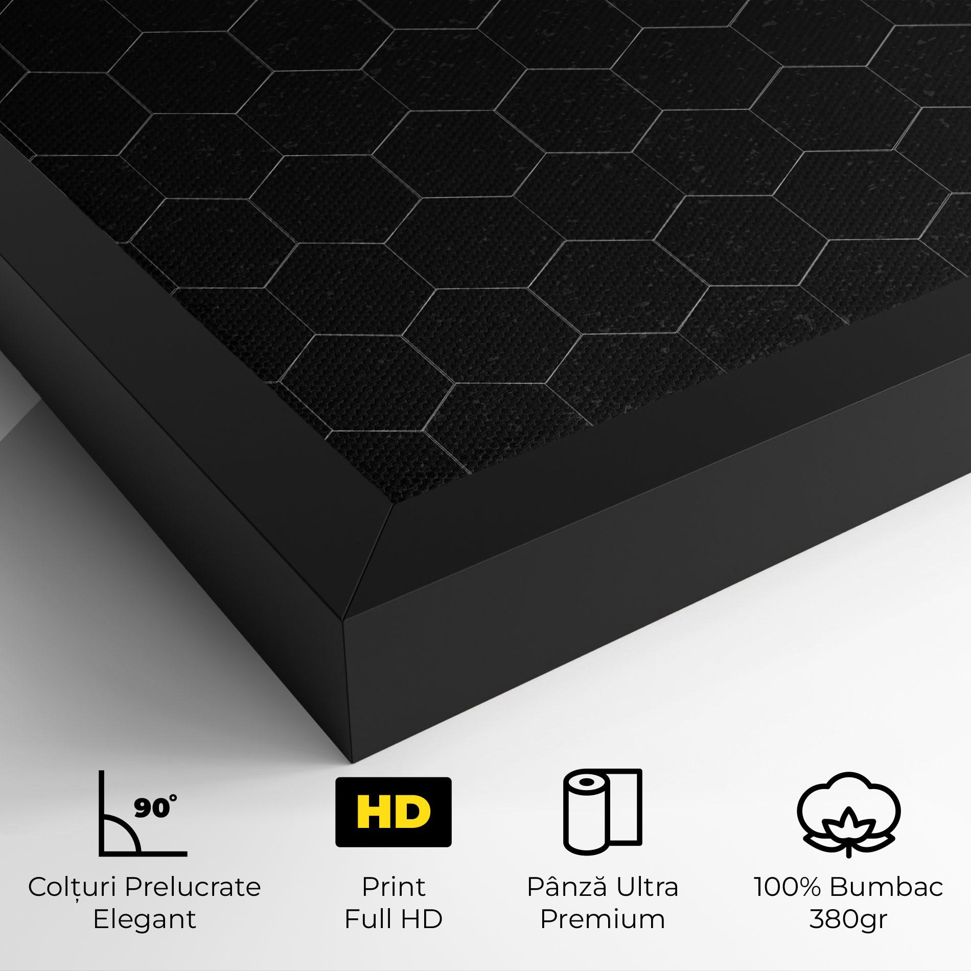 Tablou Canvas Black Hexagon mockup 4