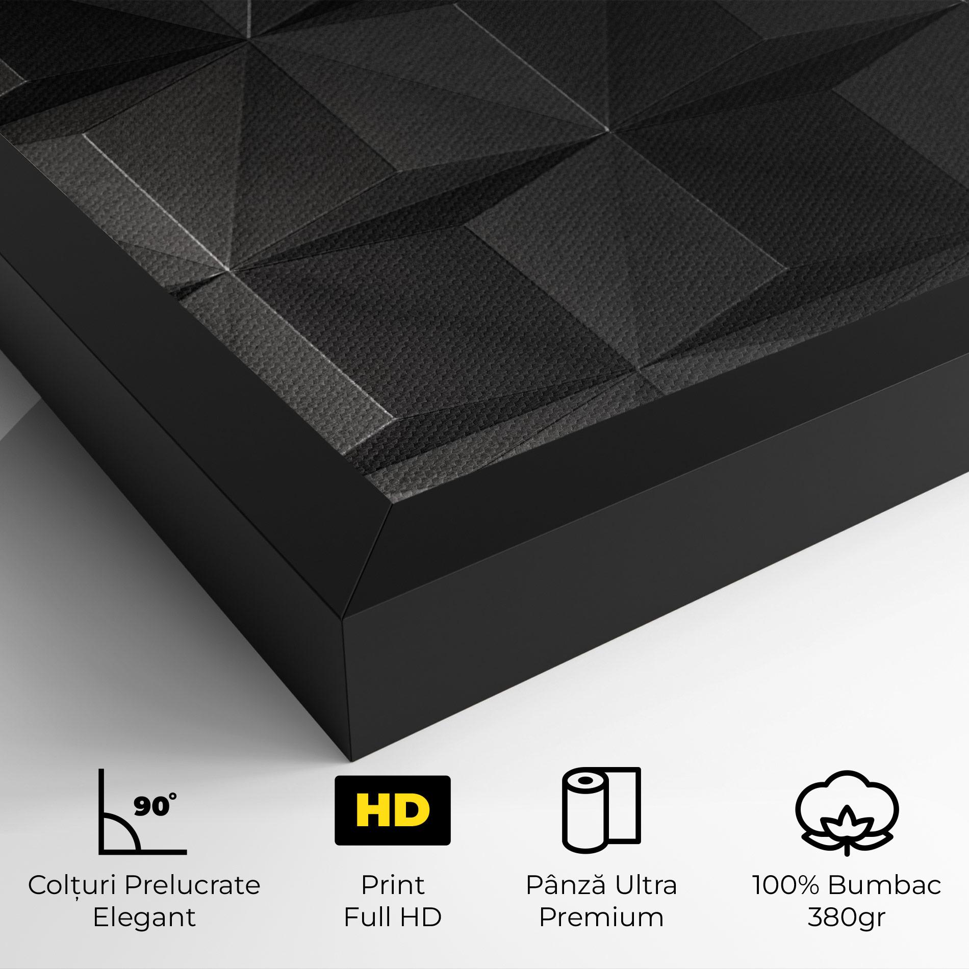 Tablou Canvas Black Shade Triangle mockup 4