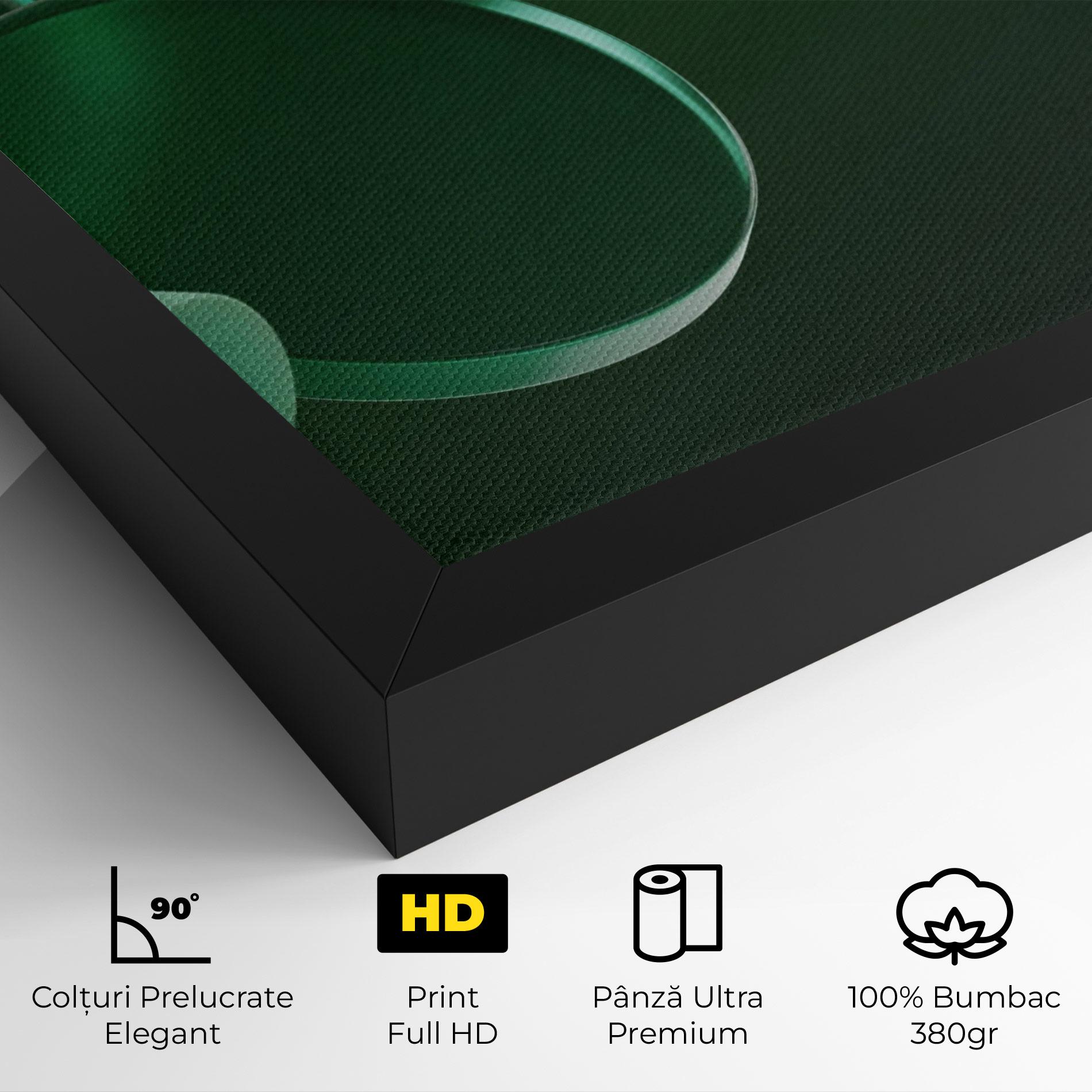 Tablou Canvas Green Circle Floating mockup 4