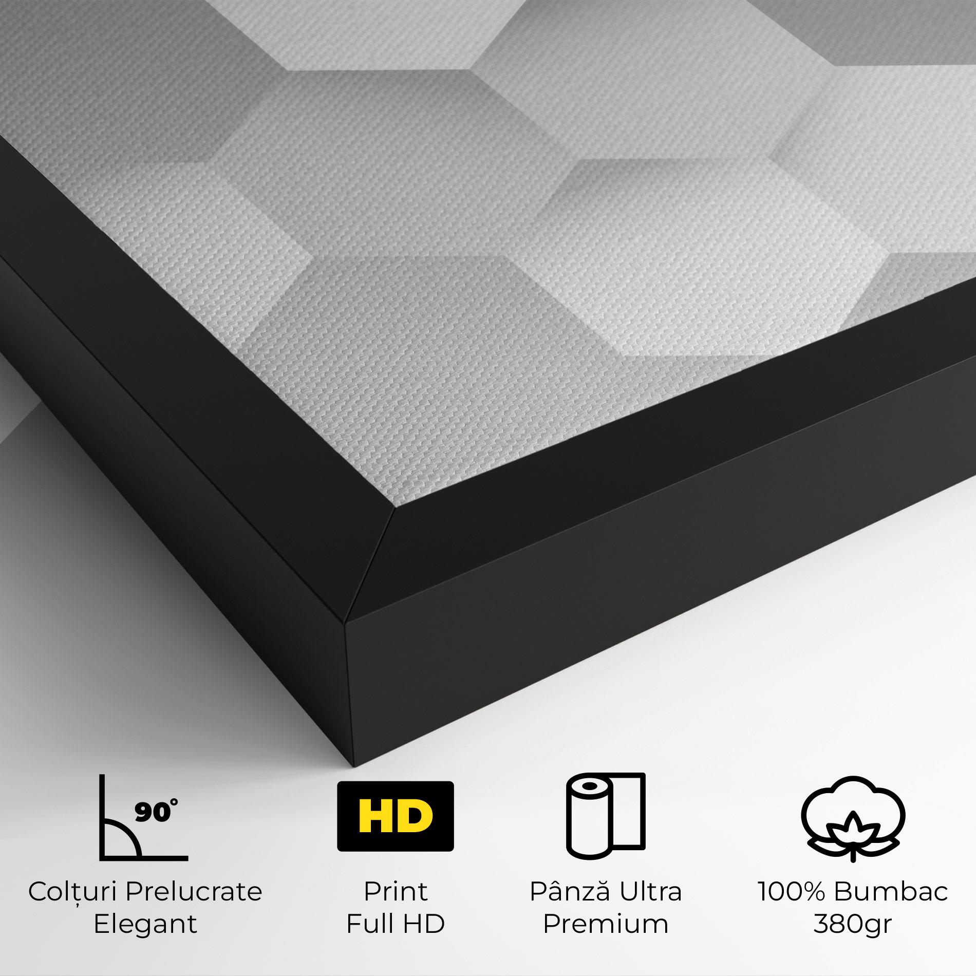 Tablou Canvas Grey White Triangle mockup 4
