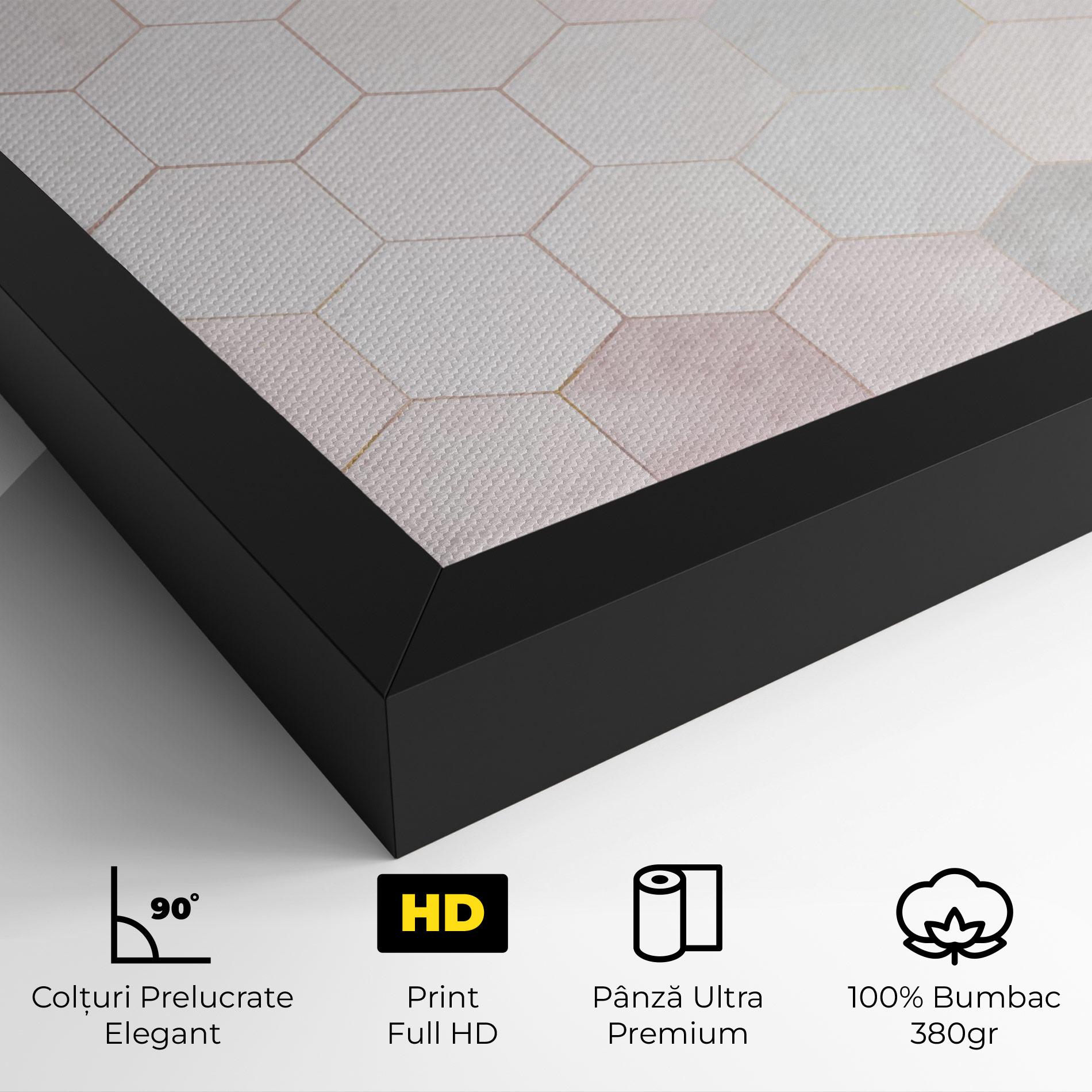 Tablou Canvas Hexagon Pink mockup 4