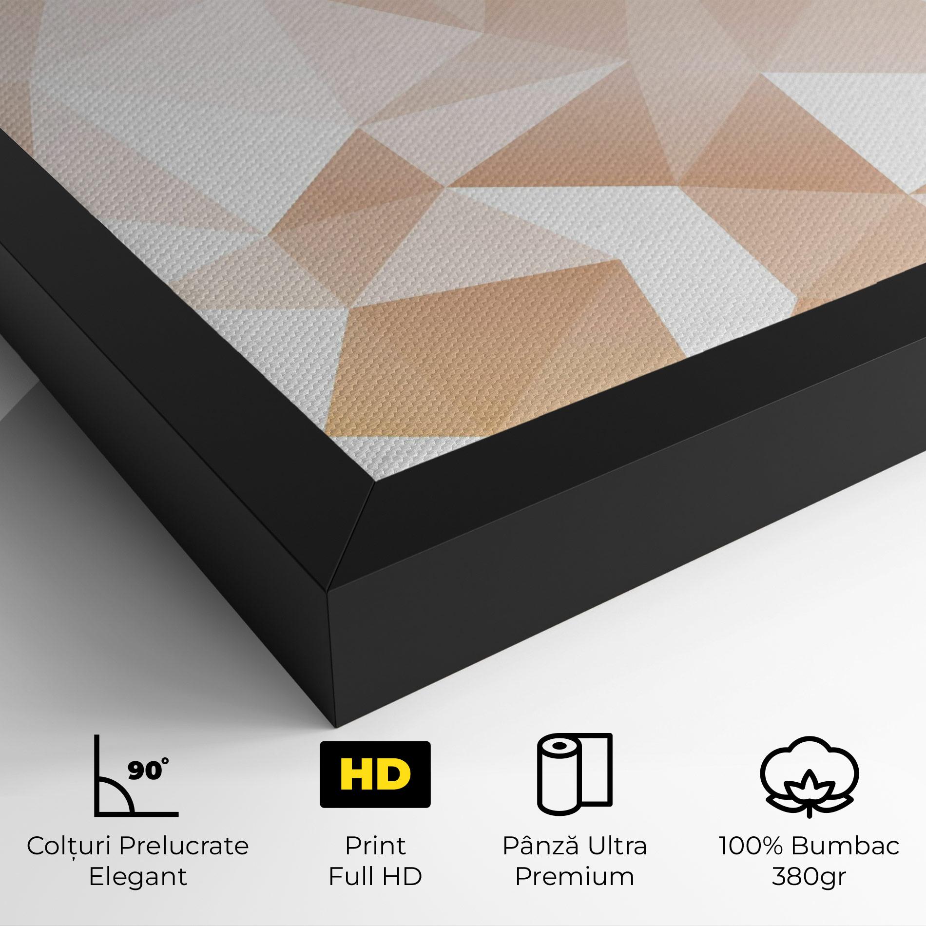 Tablou Canvas Light Pink Triangle mockup 4