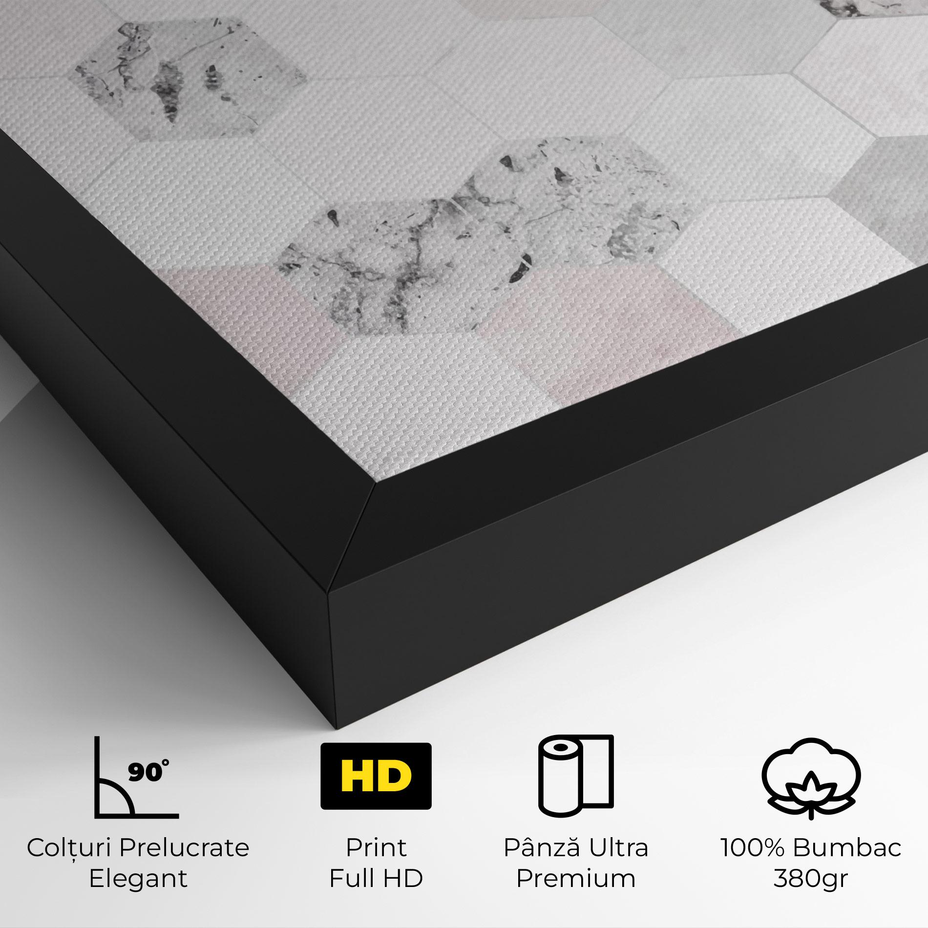 Tablou Canvas Pink Hexa Pattern mockup 4