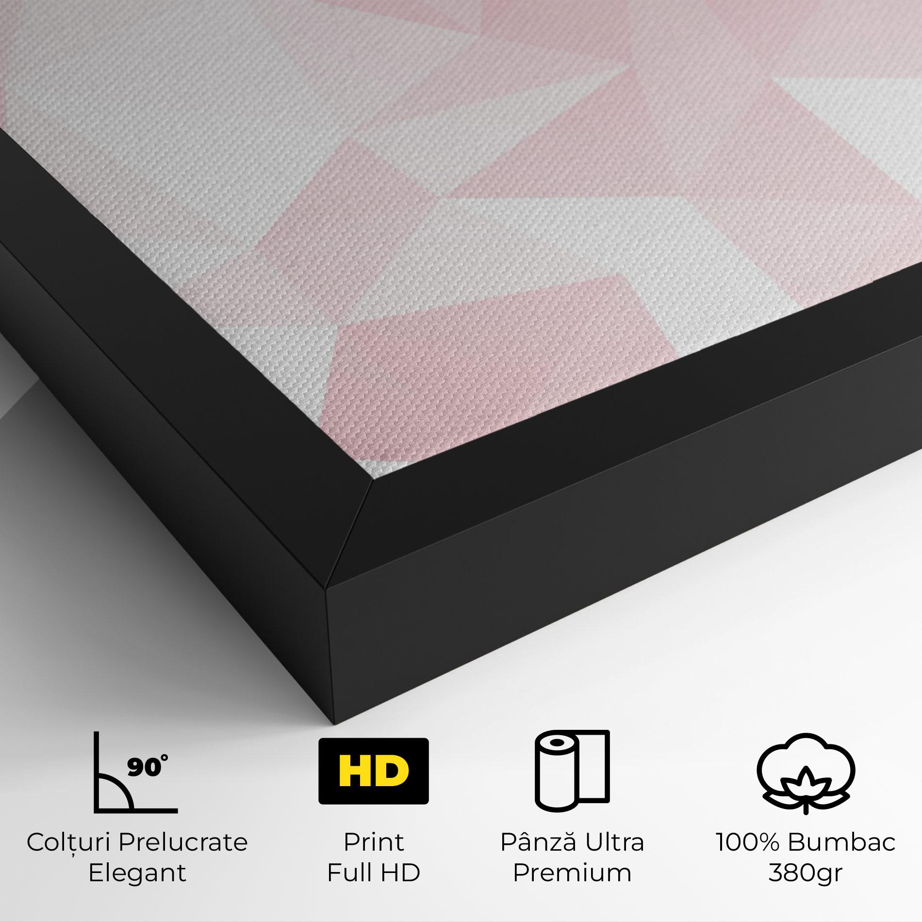 Tablou Canvas Pink Triangle mockup 4