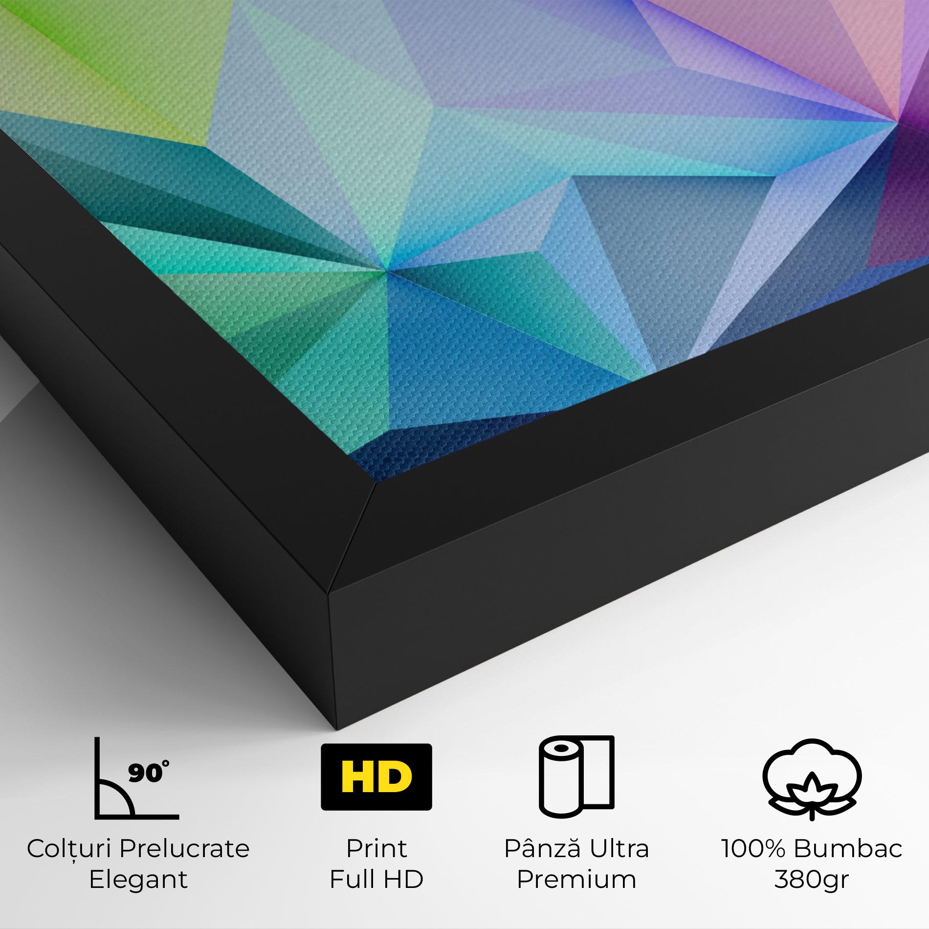 Tablou Canvas Rainbow Triangle Mix mockup 4