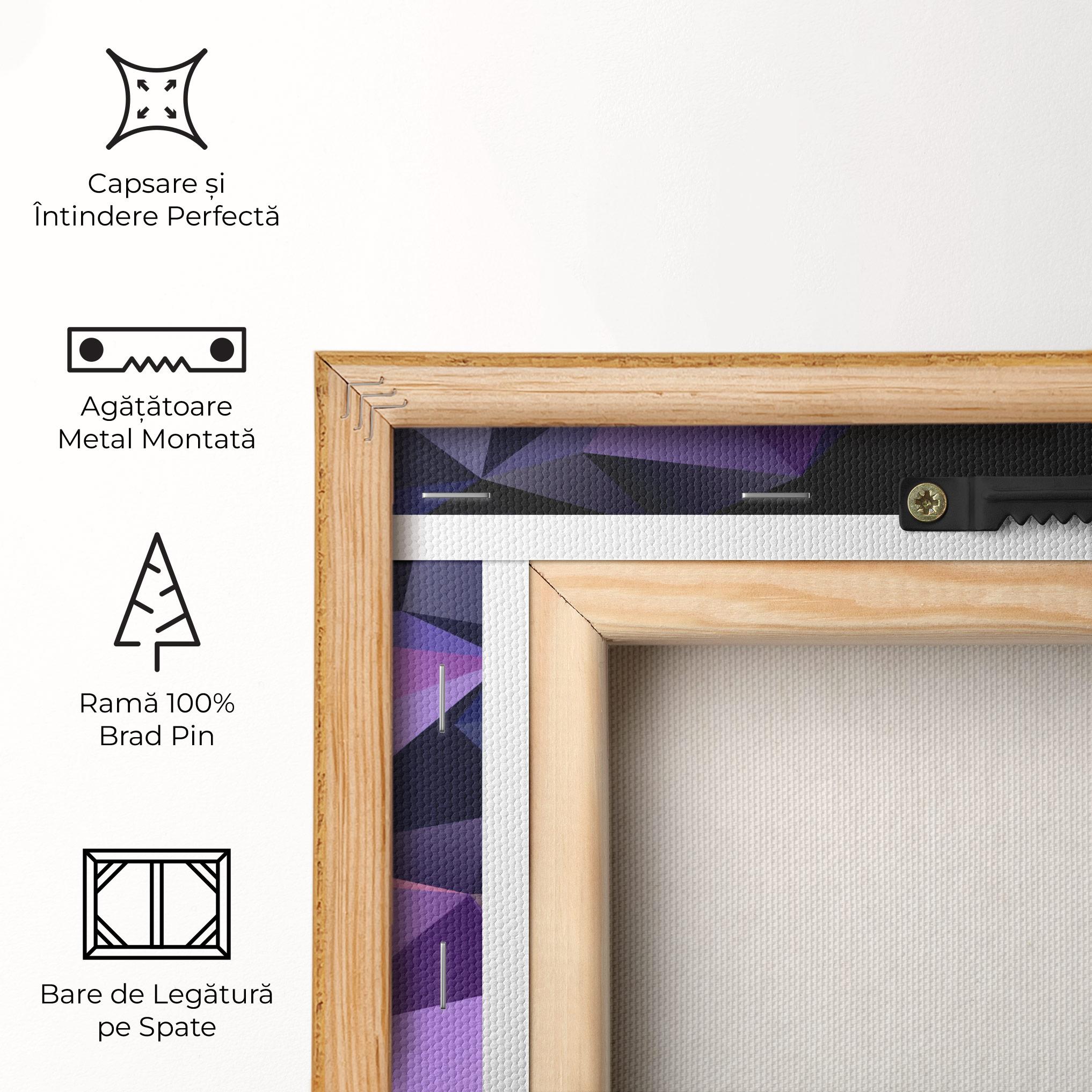 Tablou Canvas Black Purple Triangle mockup 5