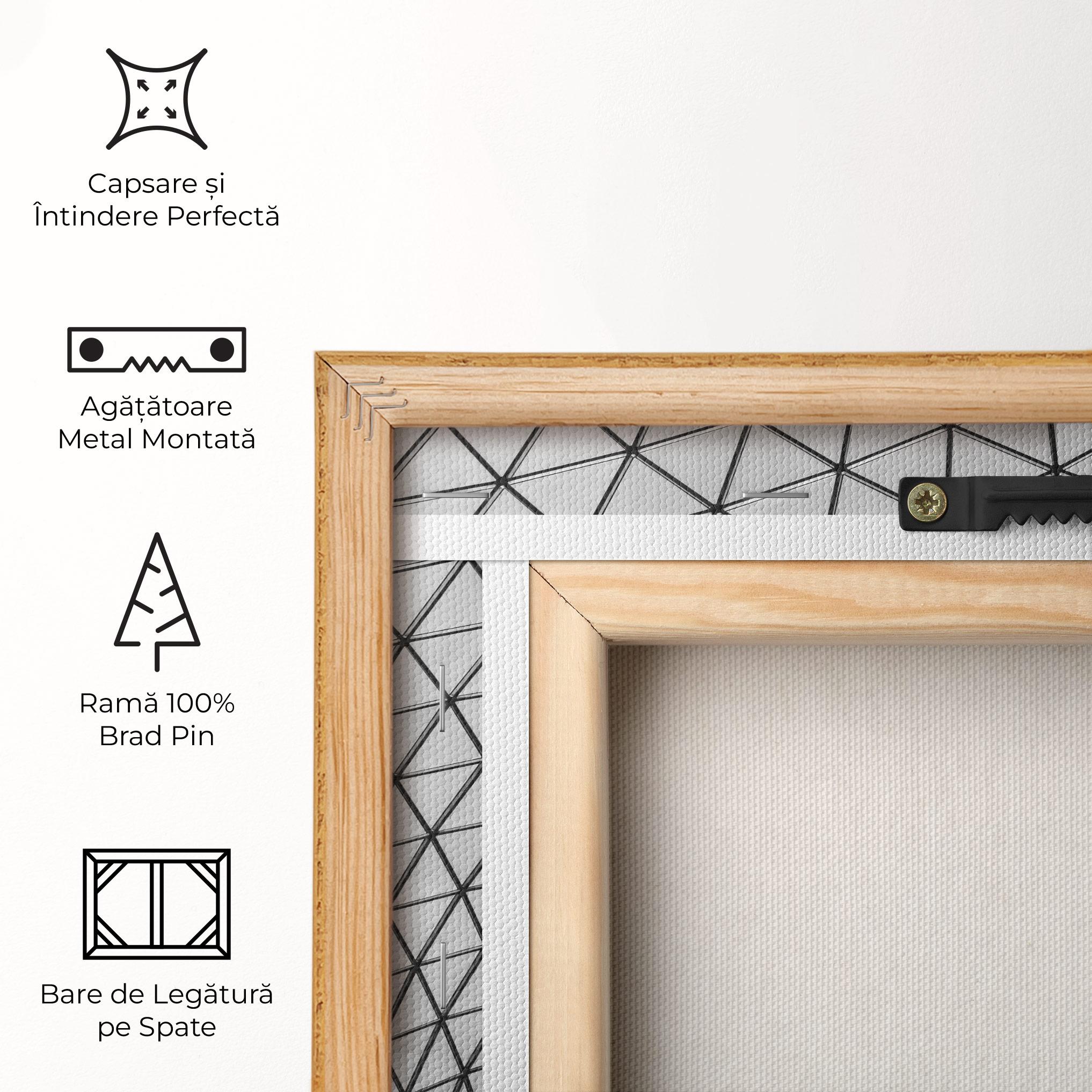 Tablou Canvas Triangle Ceiling mockup 5