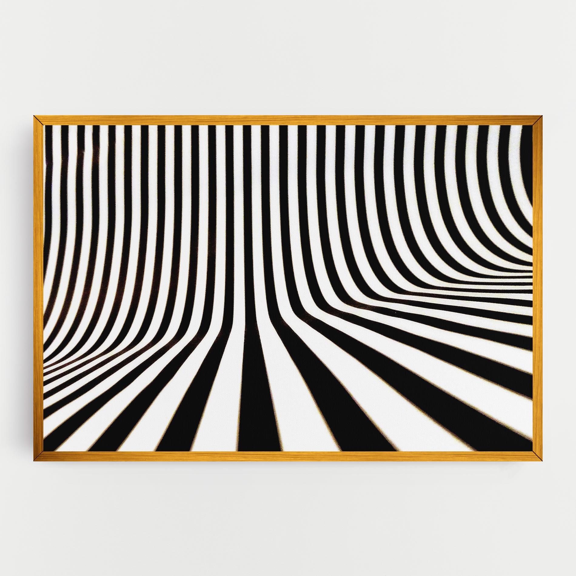 Tablou Canvas Black And White Illusion mockup 0