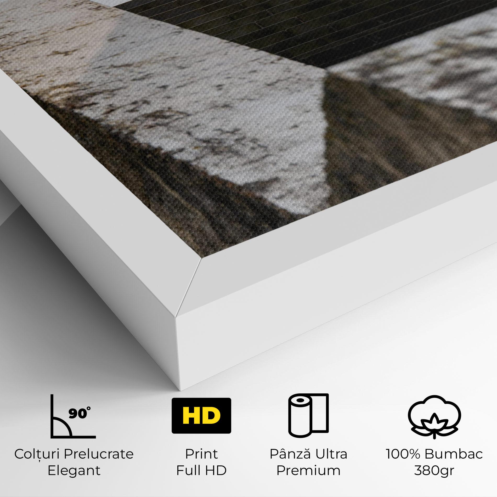 Tablou Canvas Black Stairs mockup 4