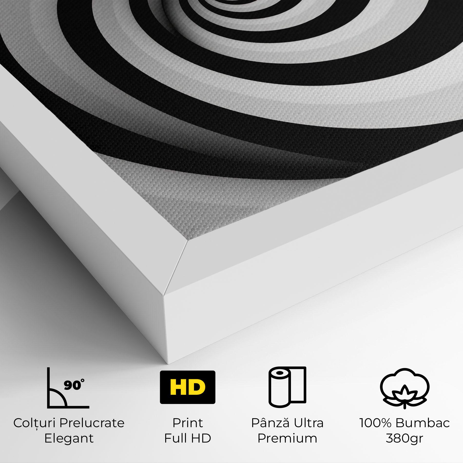 Tablou Canvas Black White Spiral mockup 4