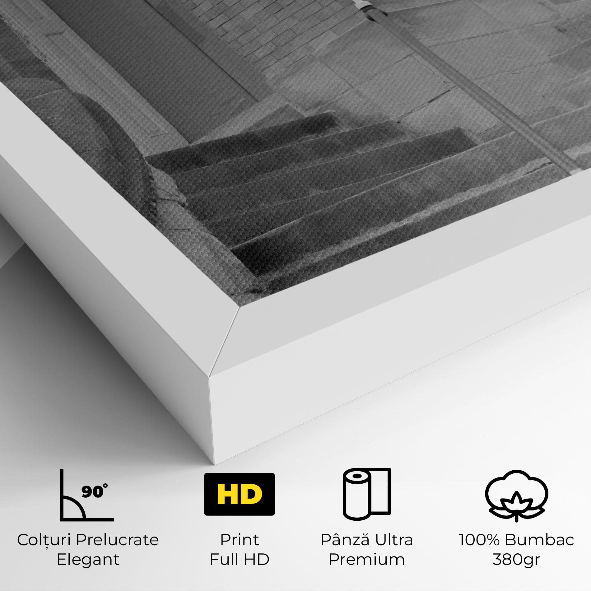 Tablou Canvas Grey Dors mockup 4