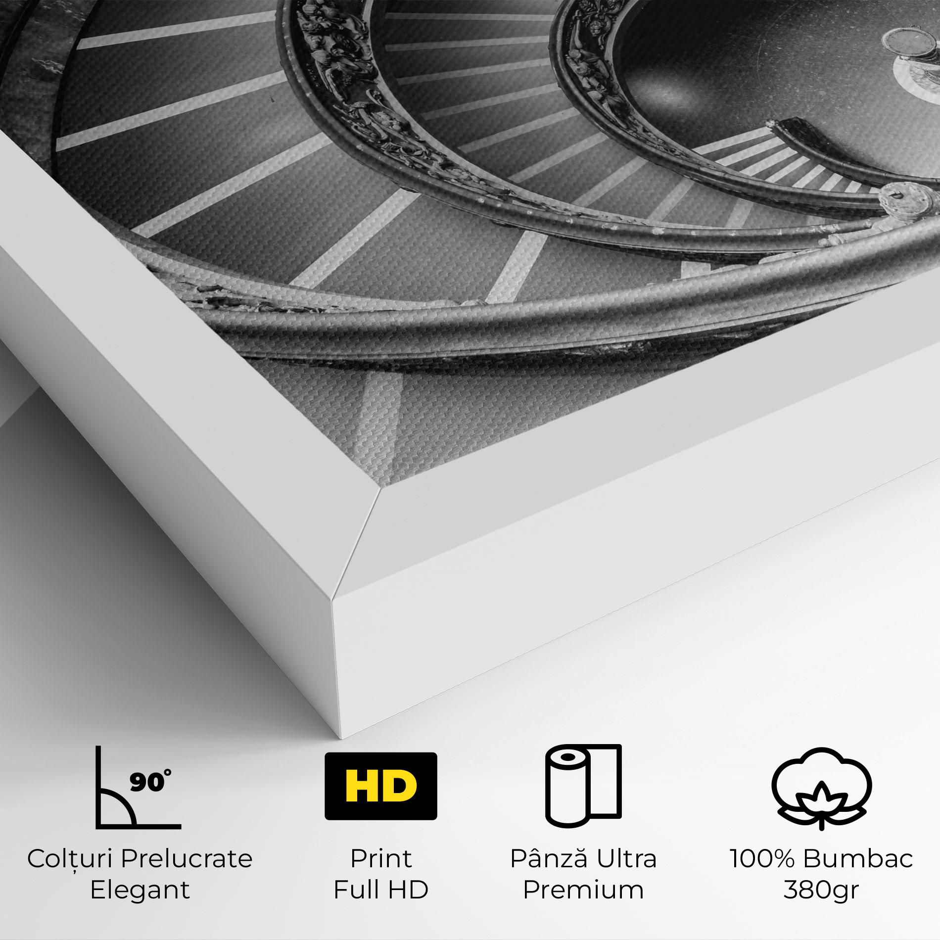 Tablou Canvas Grey Spiral mockup 4