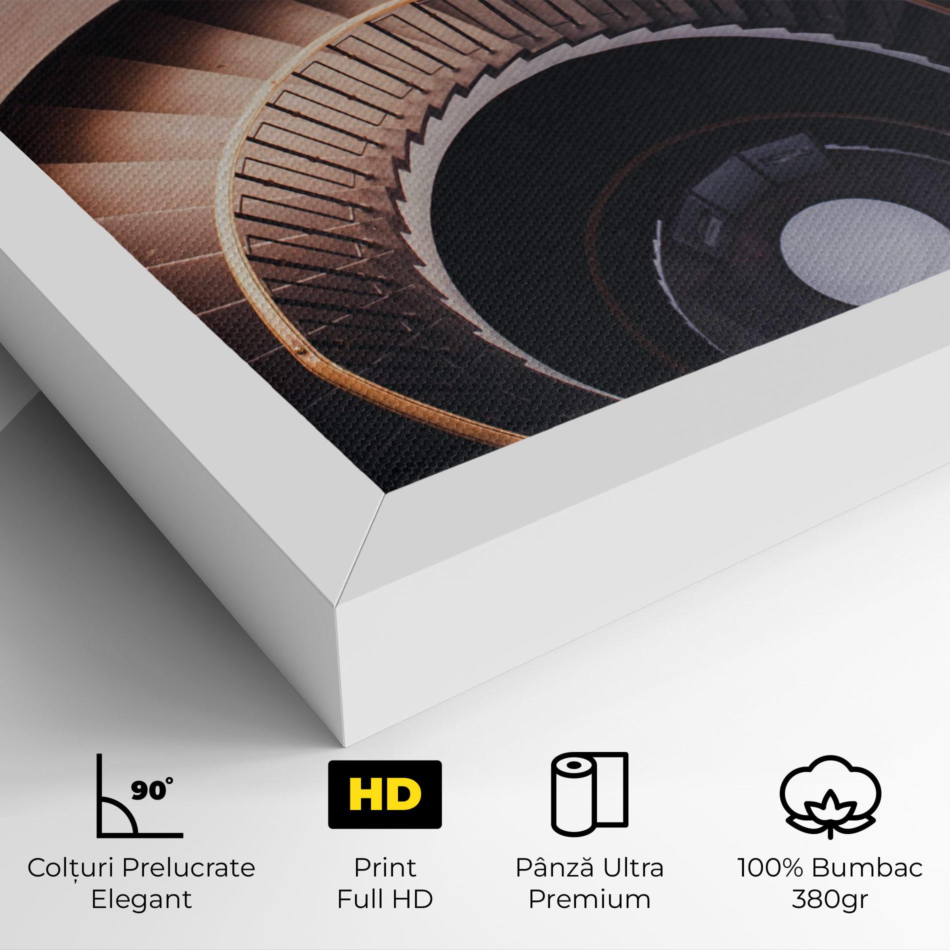 Tablou Canvas Grey Stairs Spiral mockup 4