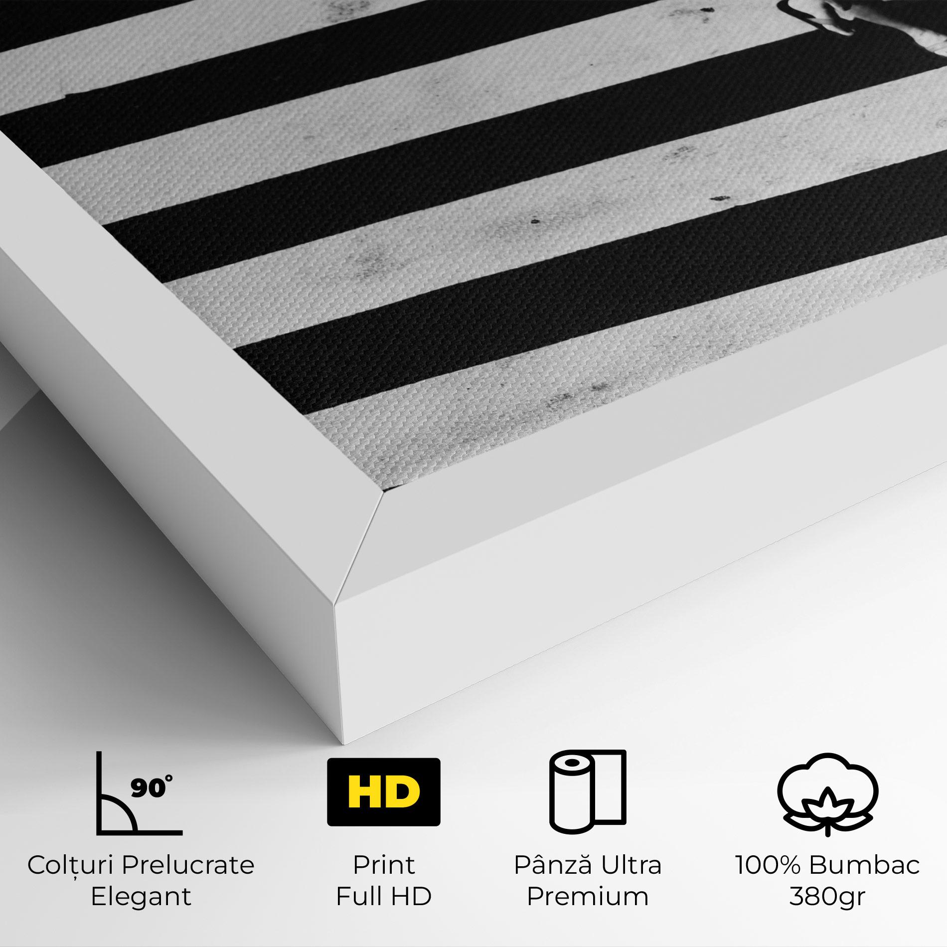 Tablou Canvas Walking On Lines mockup 4