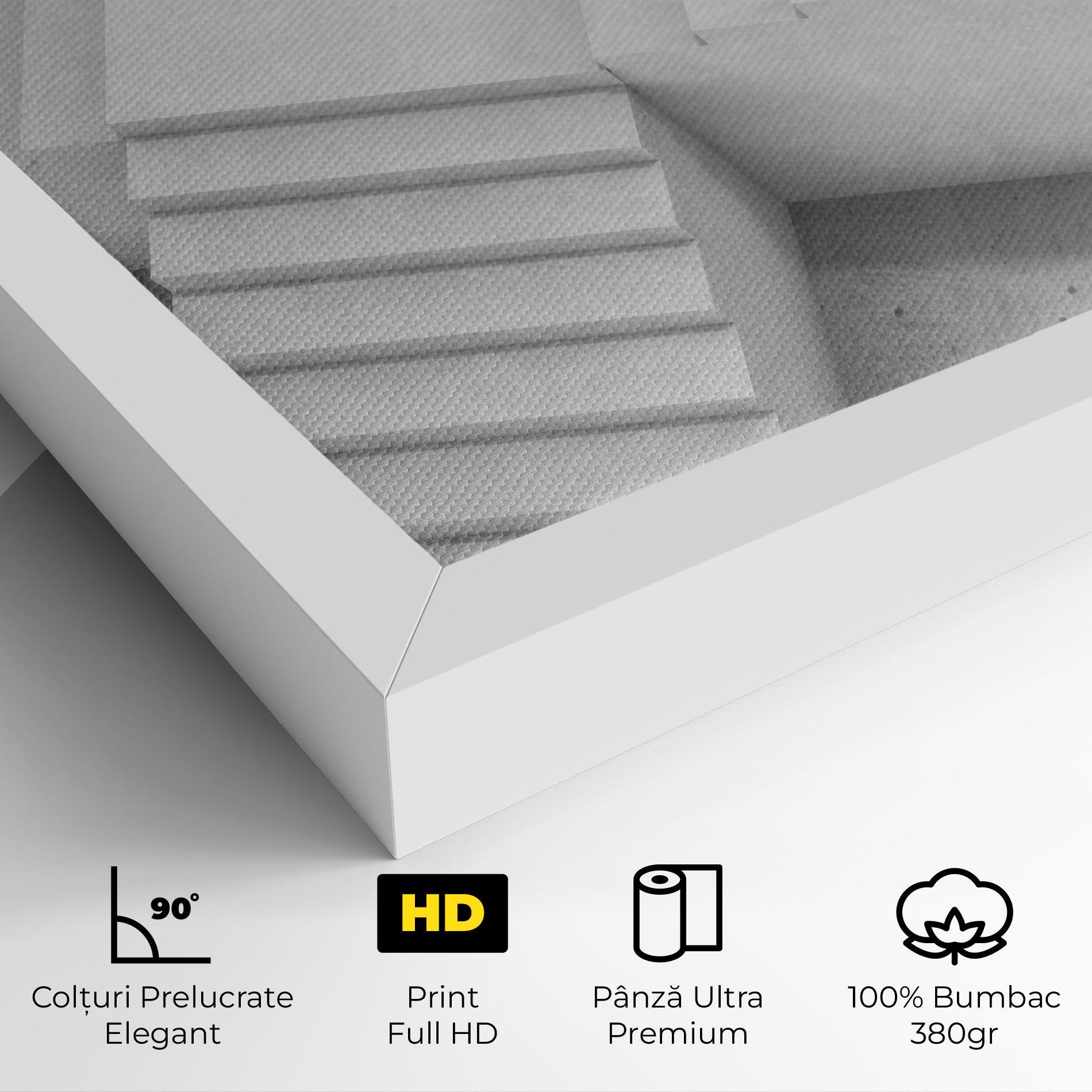 Tablou Canvas White X Stairway mockup 4