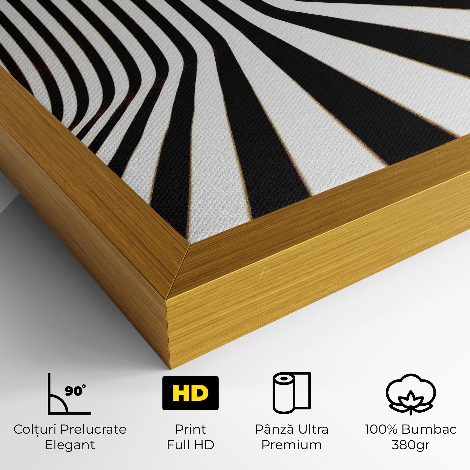 Tablou Canvas Black And White Illusion mockup 4