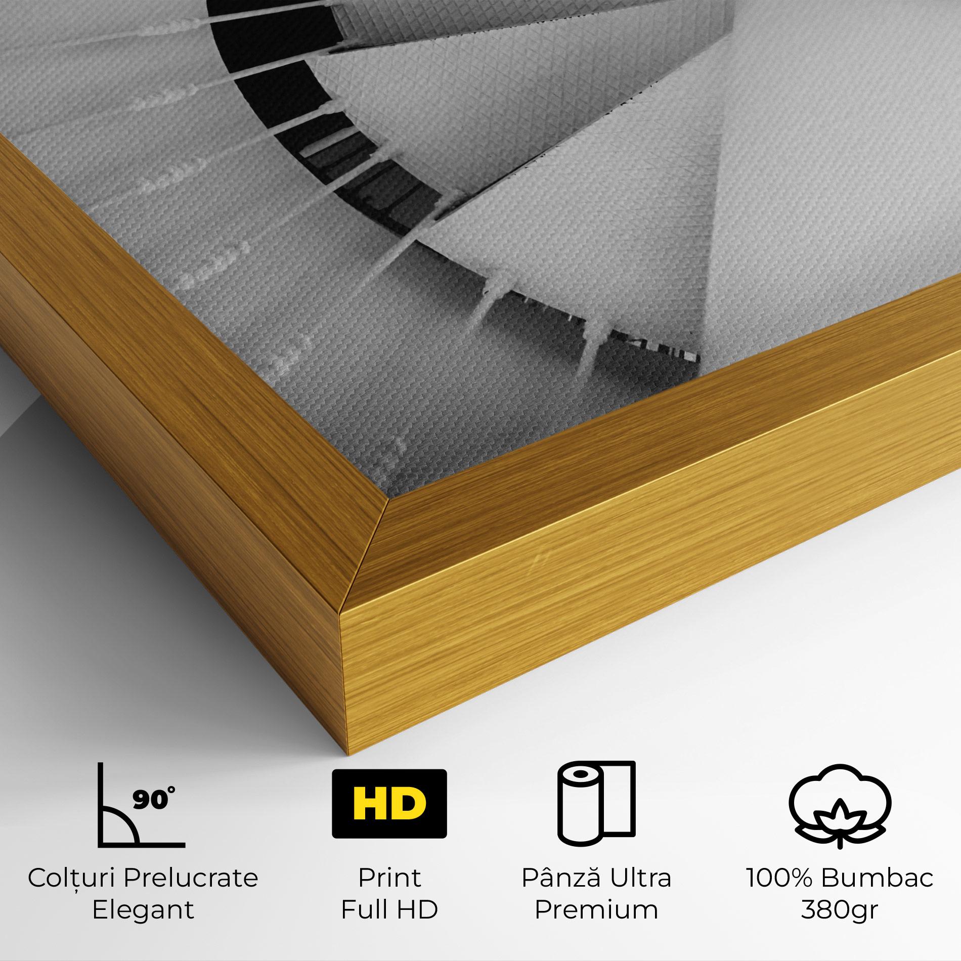 Tablou Canvas Black Circle Stairs mockup 4