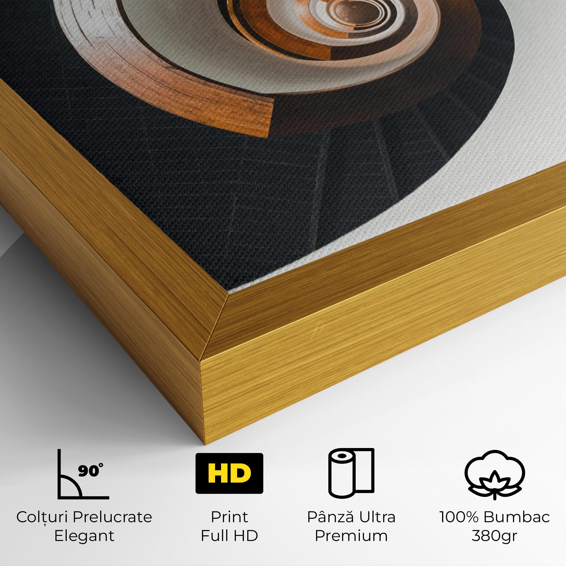 Tablou Canvas Black Spiral Stairs mockup 4