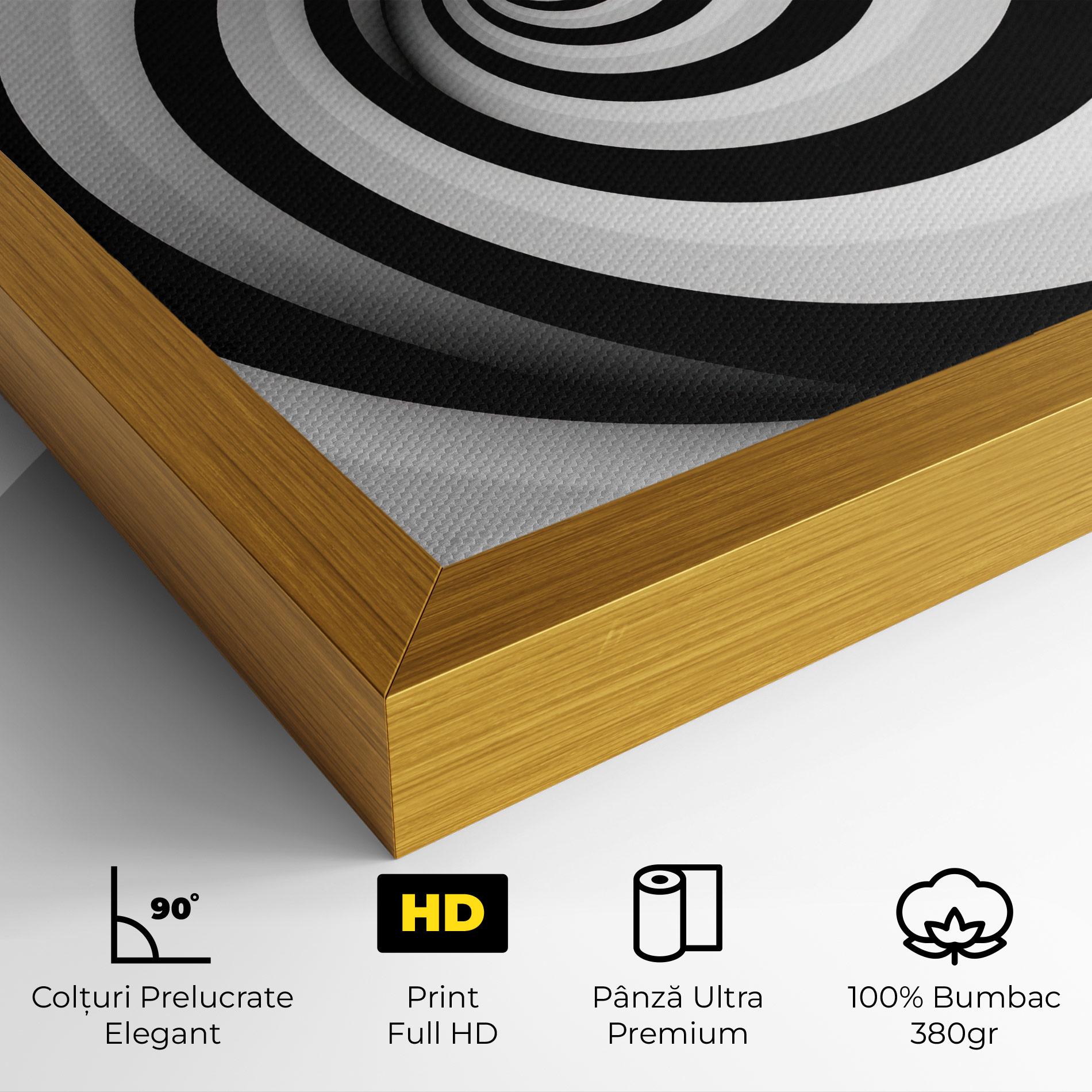 Tablou Canvas Black White Spiral mockup 4