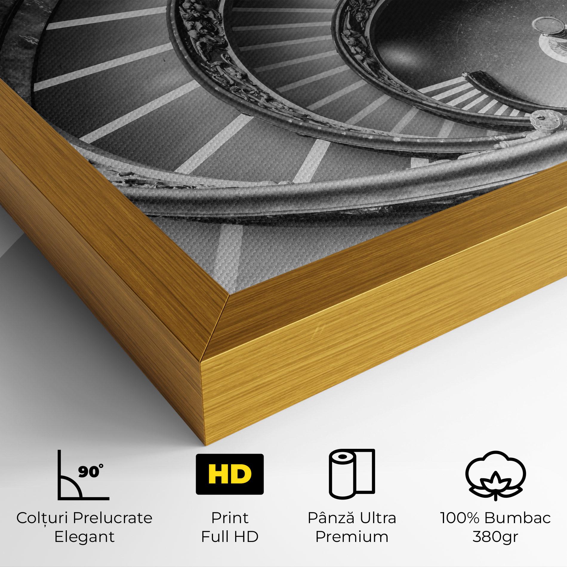 Tablou Canvas Grey Spiral mockup 4