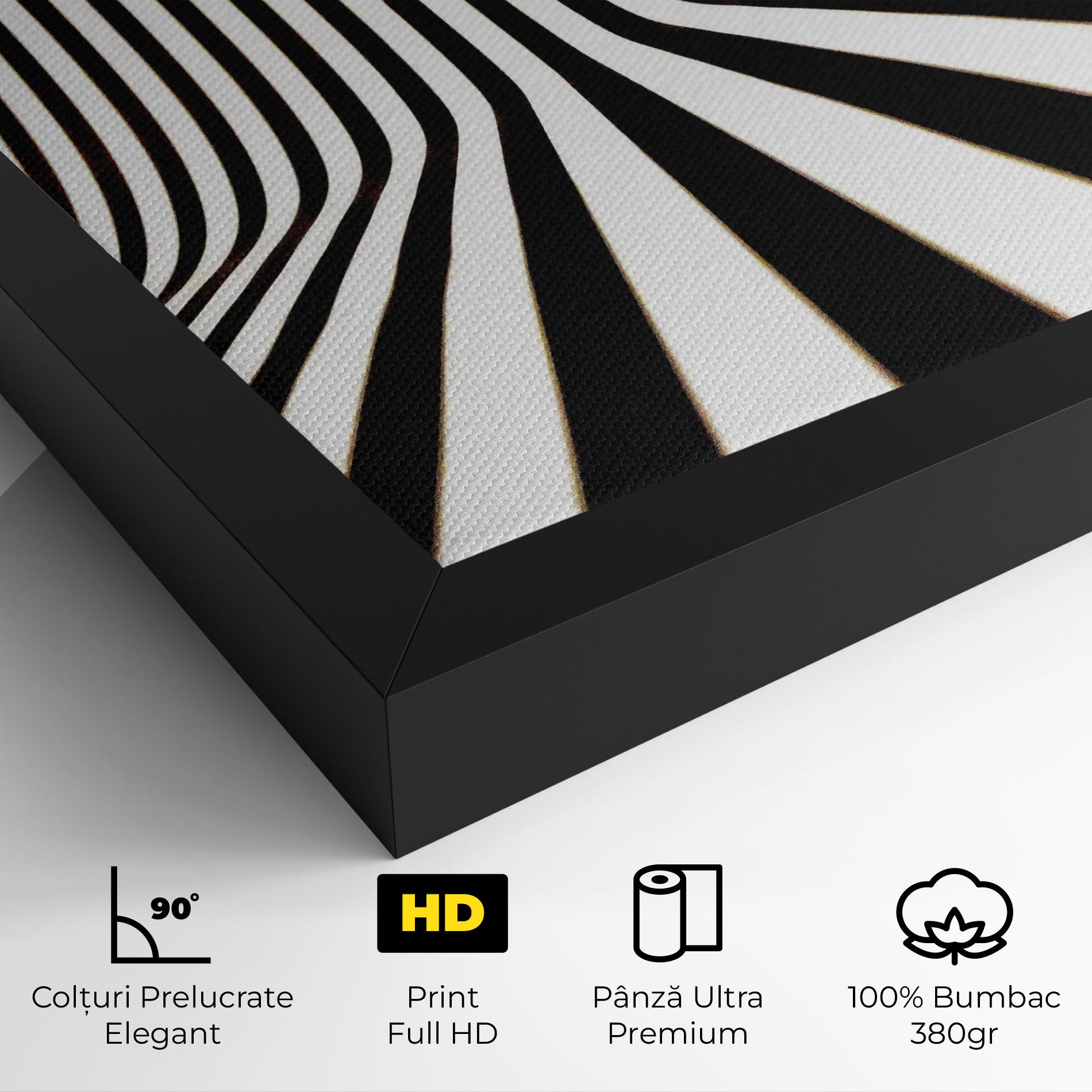 Tablou Canvas Black And White Illusion mockup 4