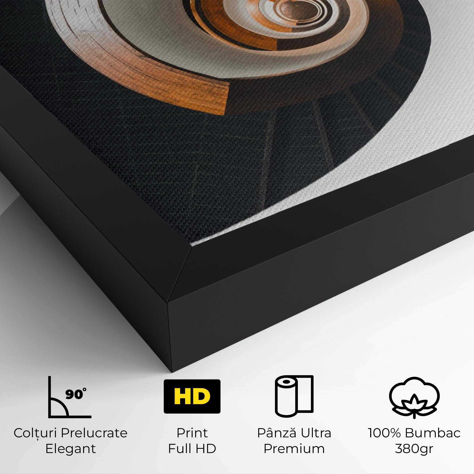 Tablou Canvas Black Spiral Stairs mockup 4