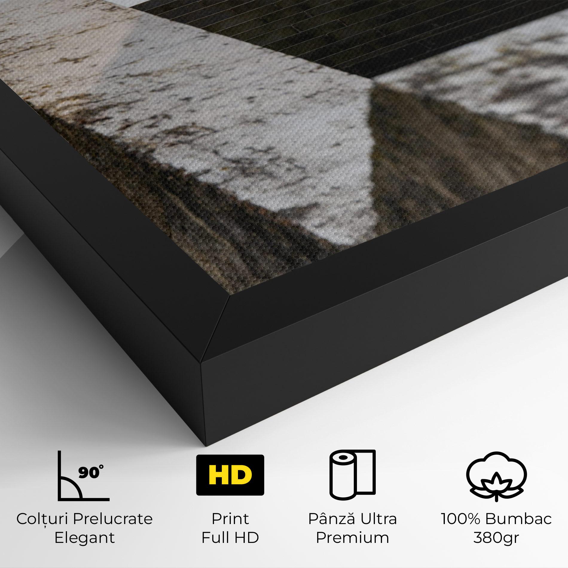 Tablou Canvas Black Stairs mockup 4