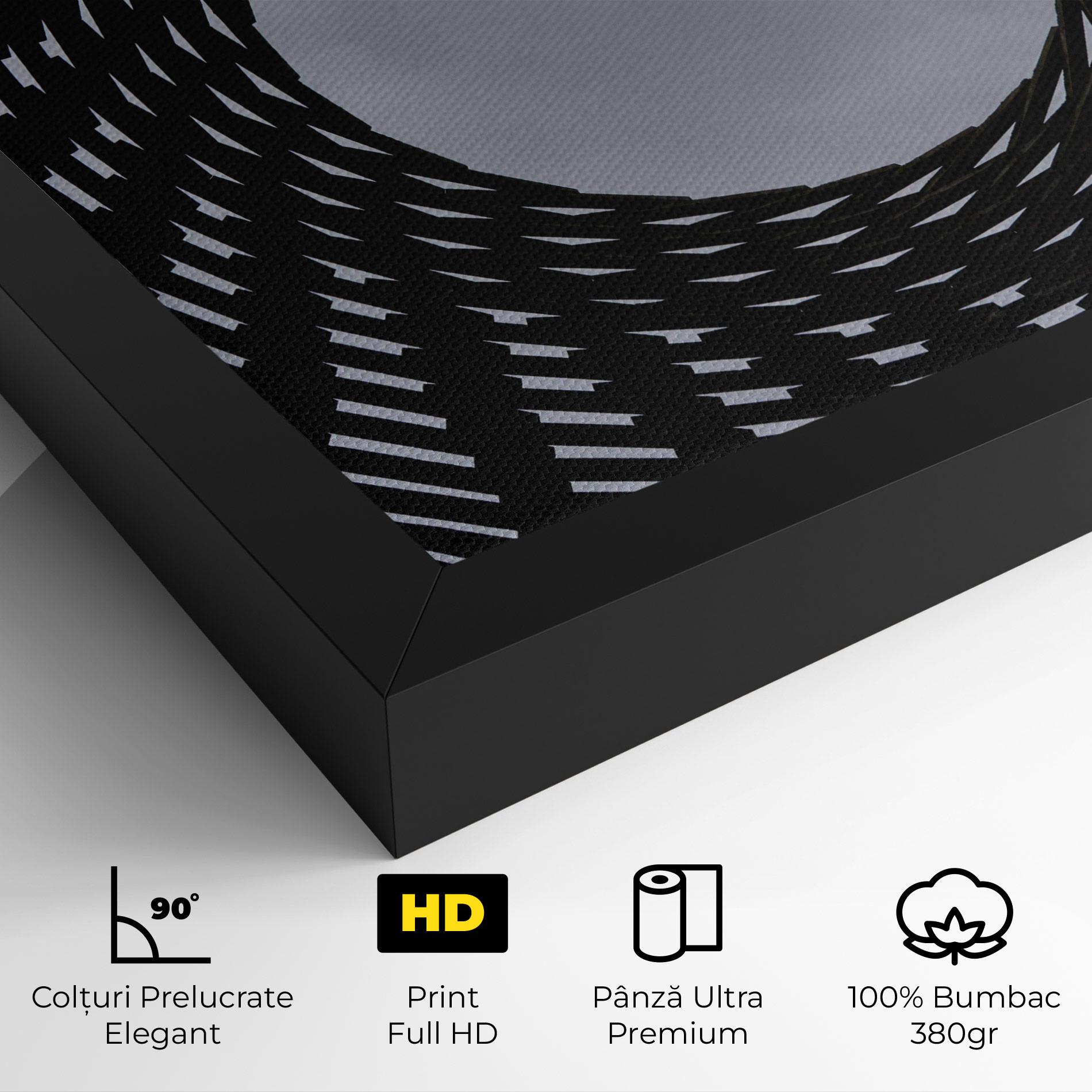 Tablou Canvas Grey Circle Lines mockup 4