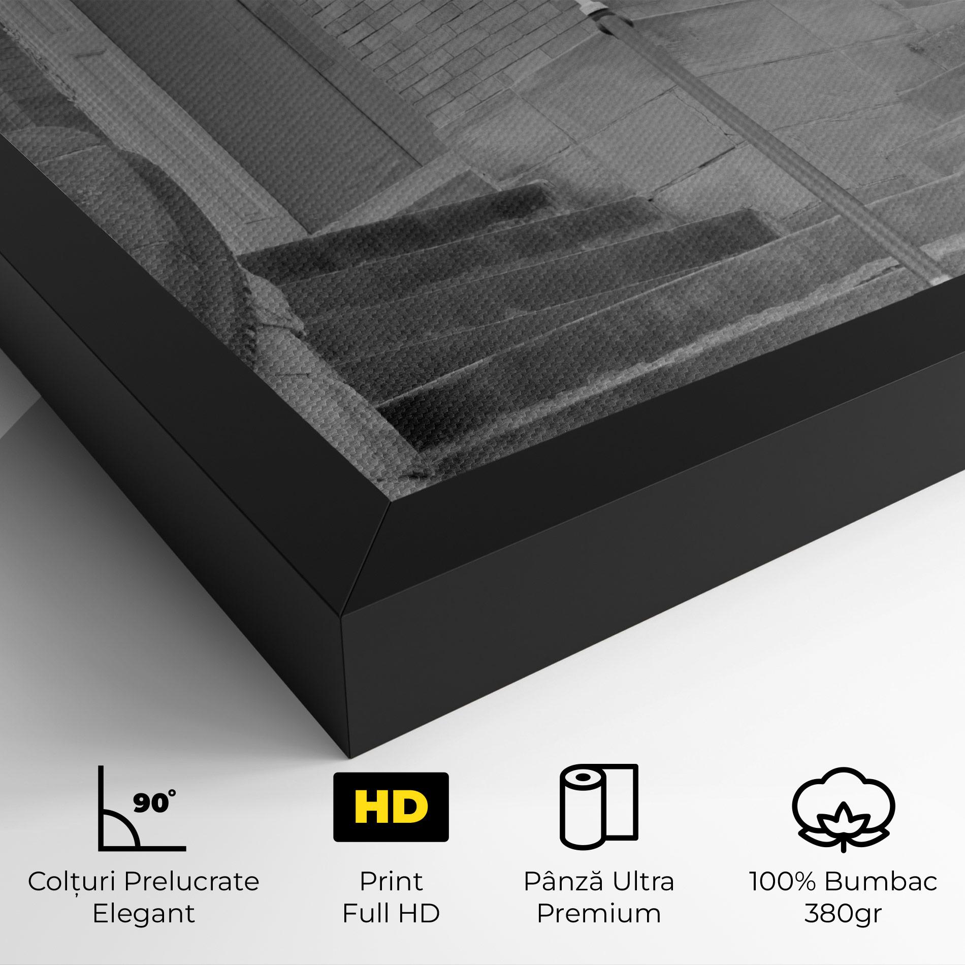 Tablou Canvas Grey Dors mockup 4