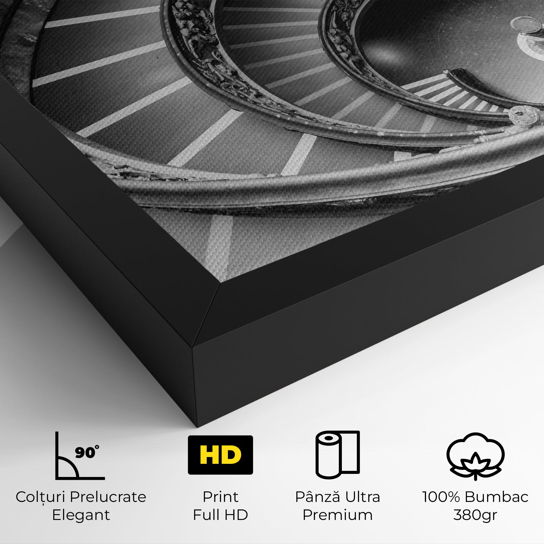 Tablou Canvas Grey Spiral mockup 4