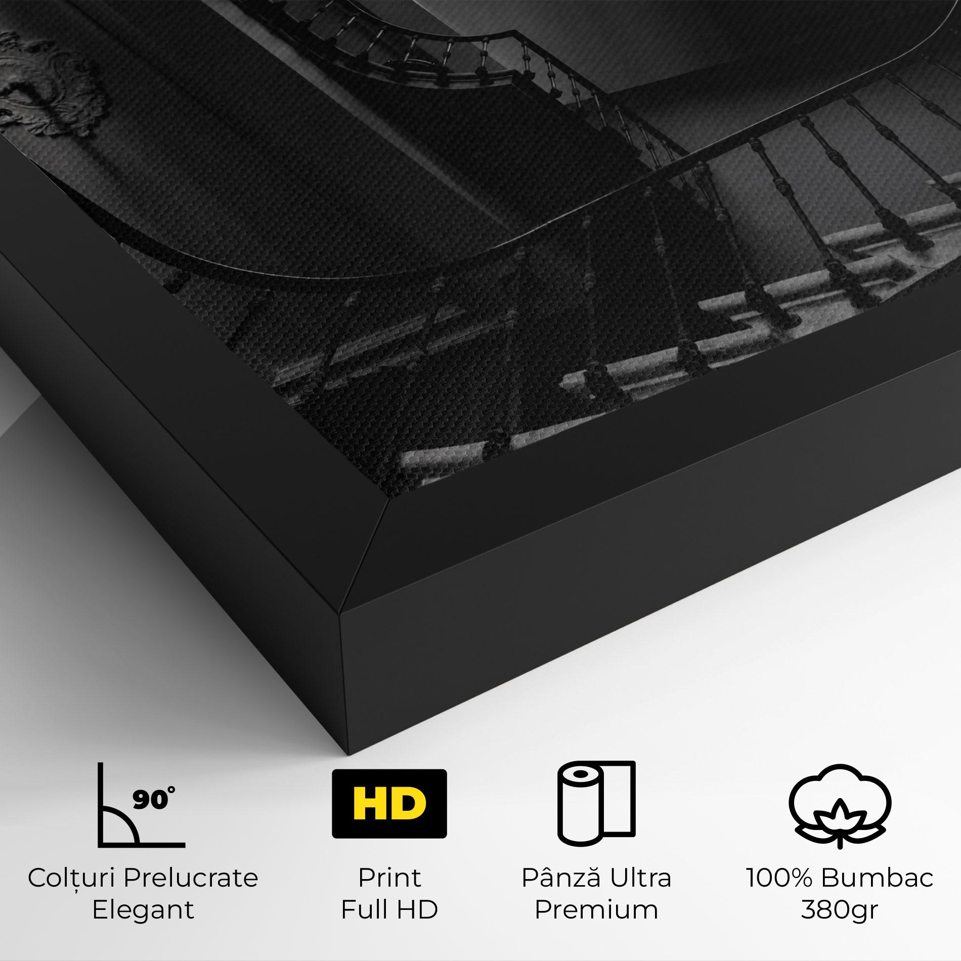 Tablou Canvas Greyscale Staircase mockup 4