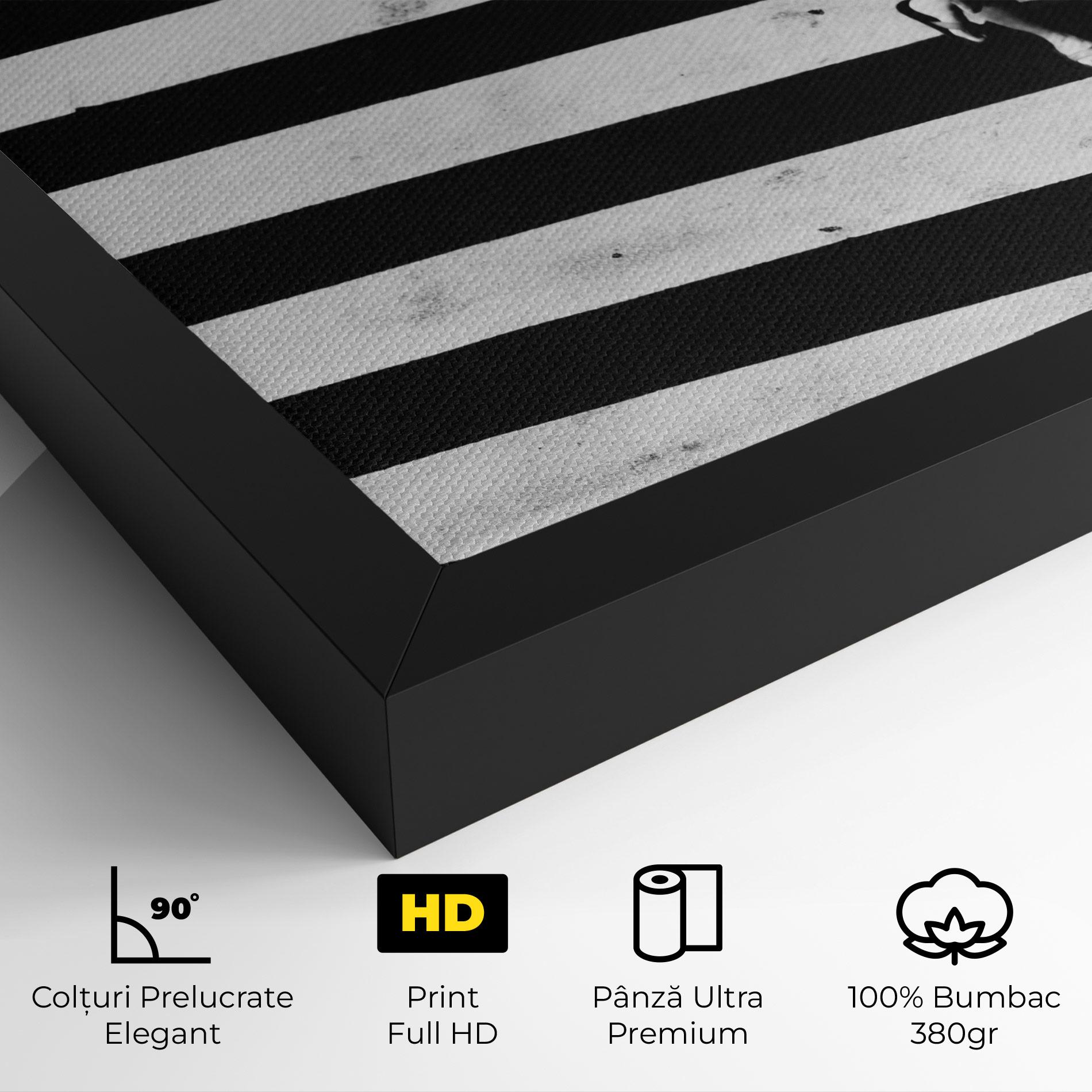 Tablou Canvas Walking On Lines mockup 4