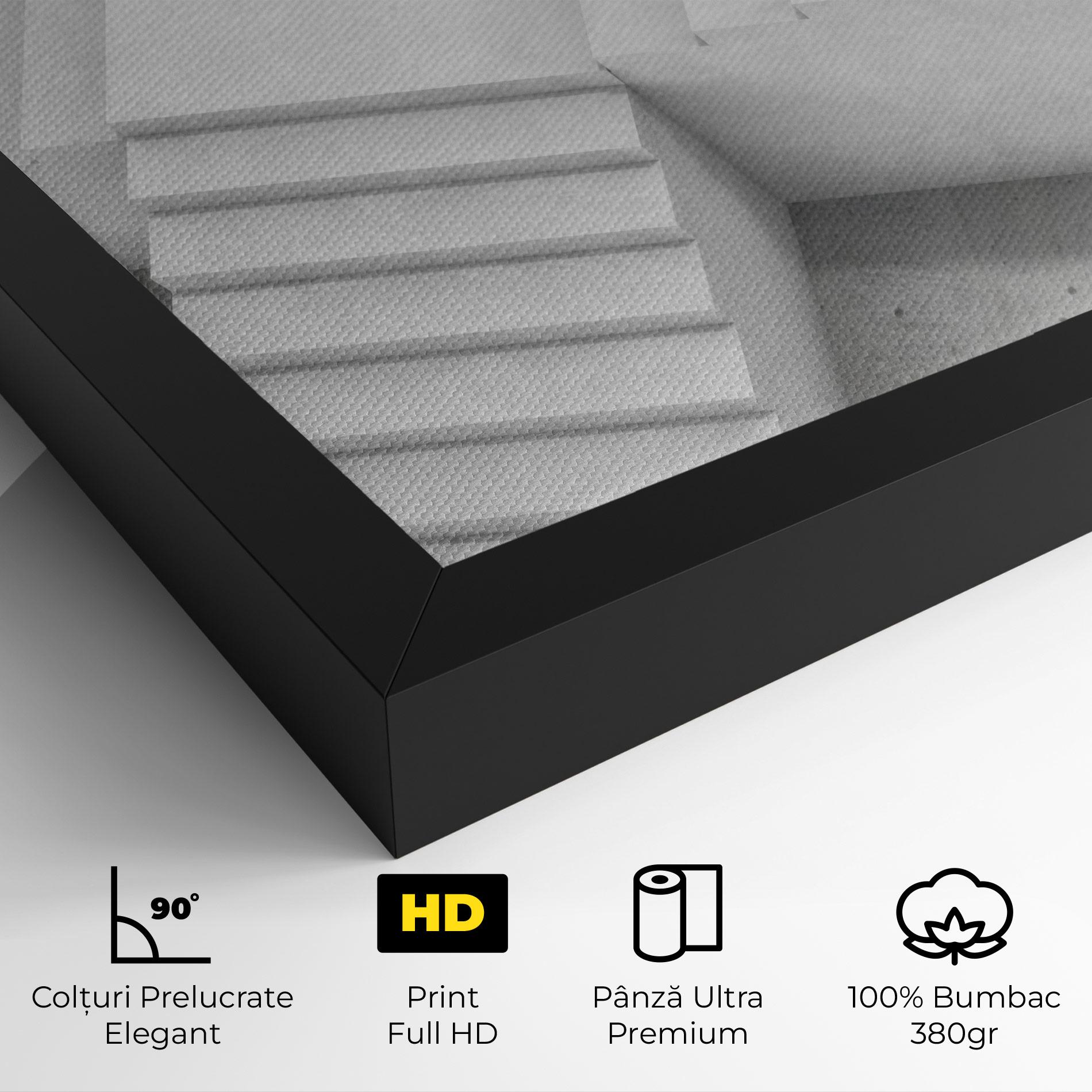 Tablou Canvas White X Stairway mockup 4