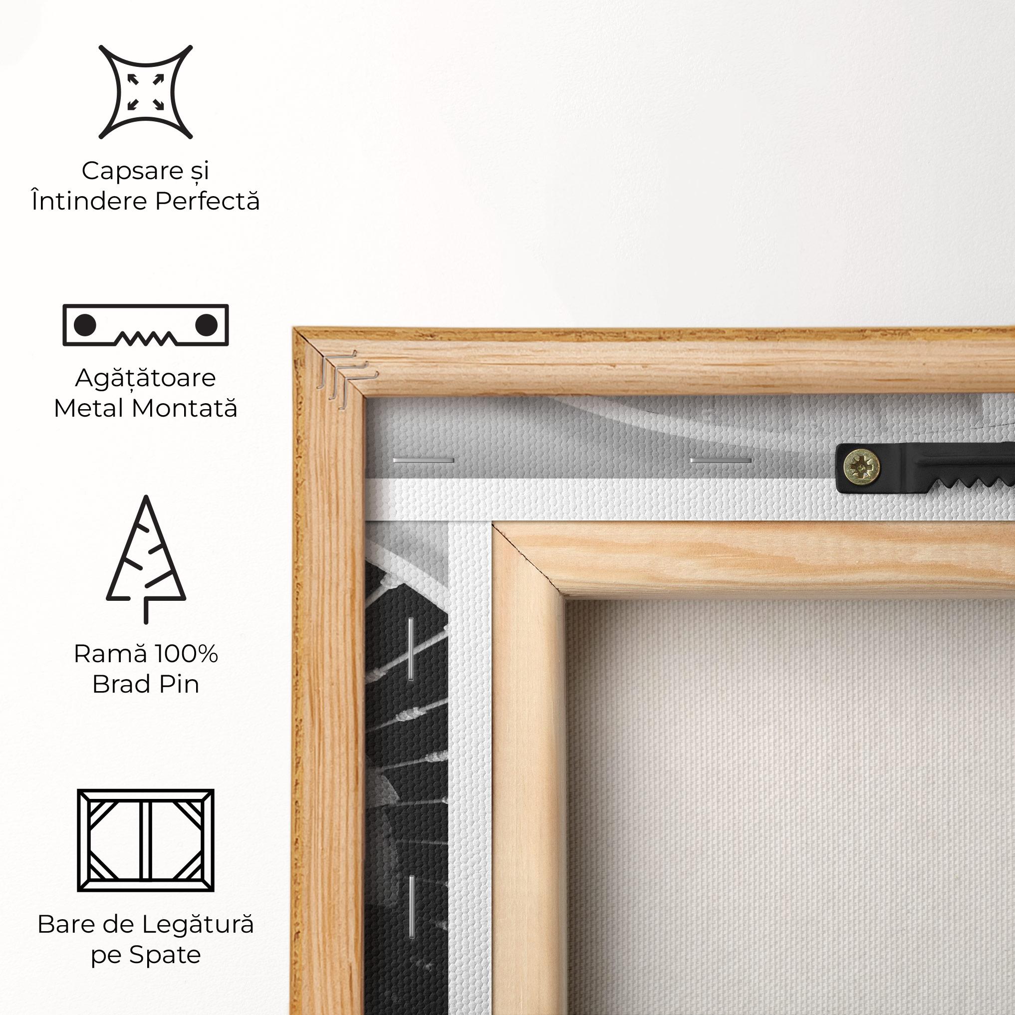 Tablou Canvas Black Circle Stairs mockup 5