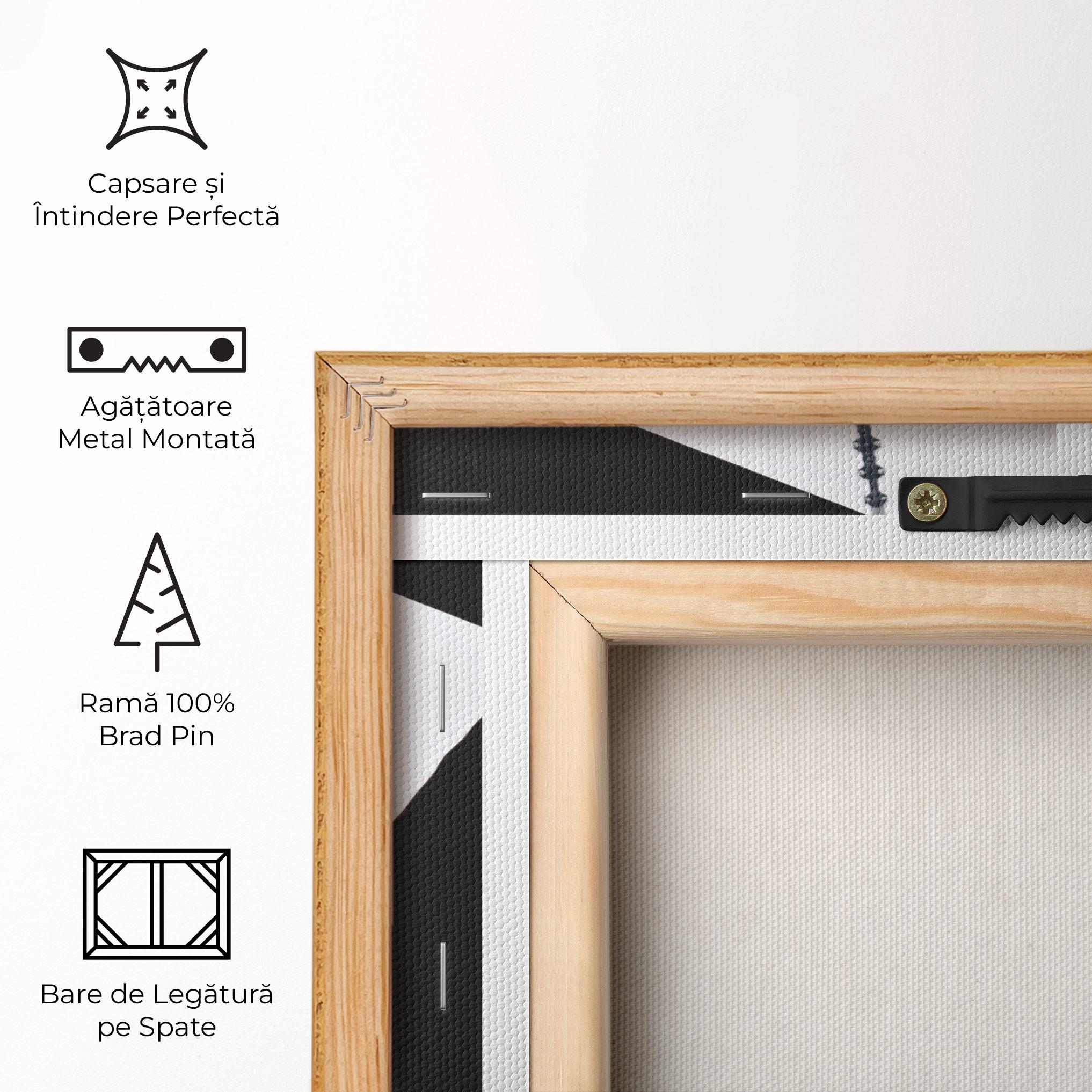 Tablou Canvas Black Stairs Floating mockup 5