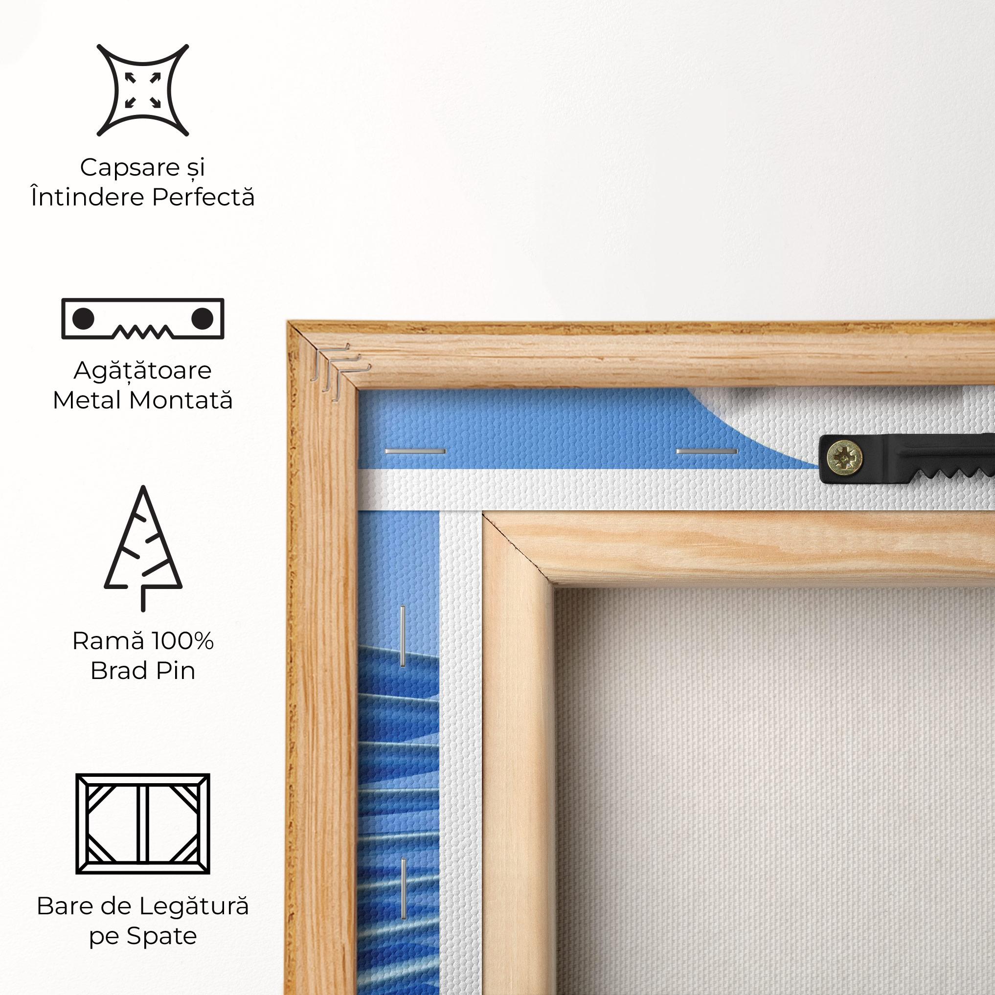 Tablou Canvas Silver Ball mockup 5