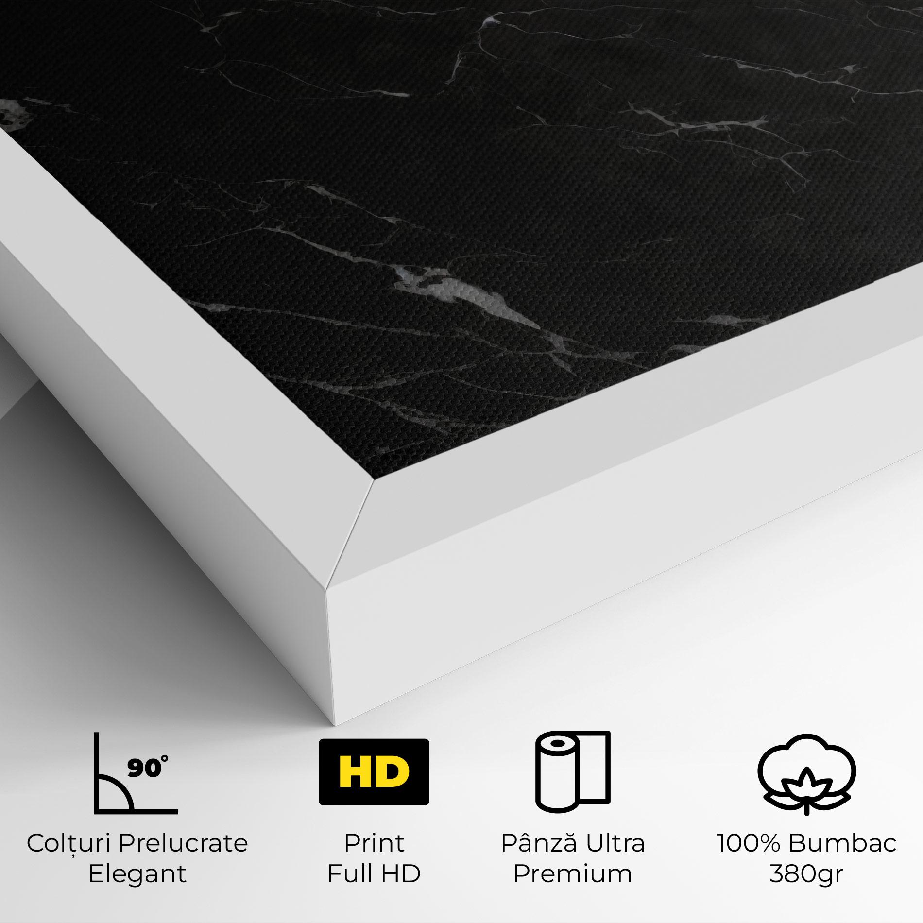 Tablou Canvas Black Marble mockup 4