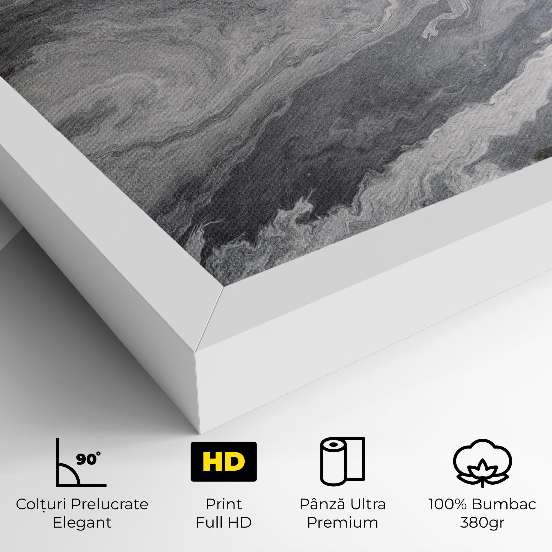 Tablou Canvas Grey Liquid Marble mockup 4