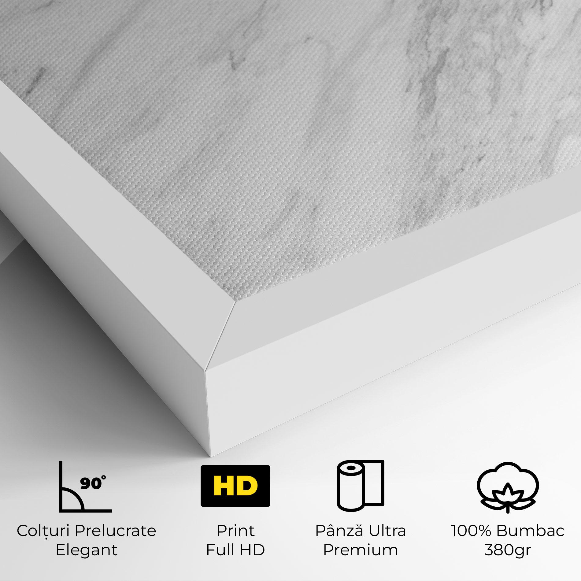 Tablou Canvas Light Grey Marble mockup 4