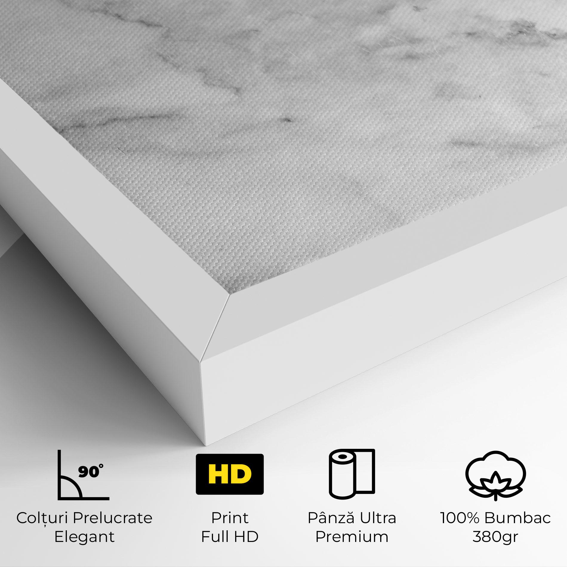 Tablou Canvas Marble Light Grey mockup 4