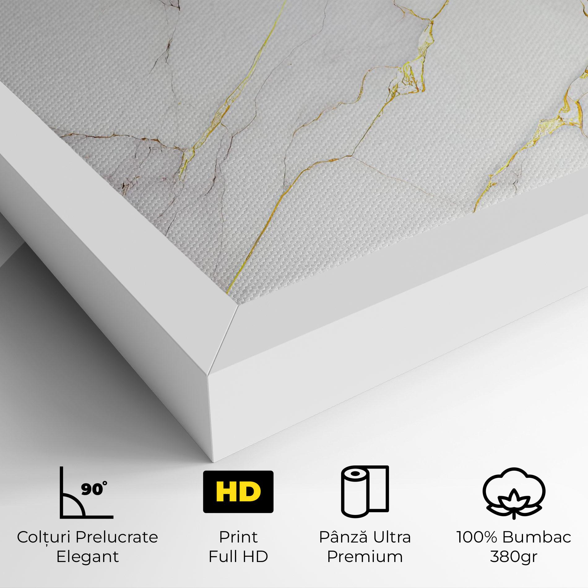 Tablou Canvas White Grey Golden Lines mockup 4