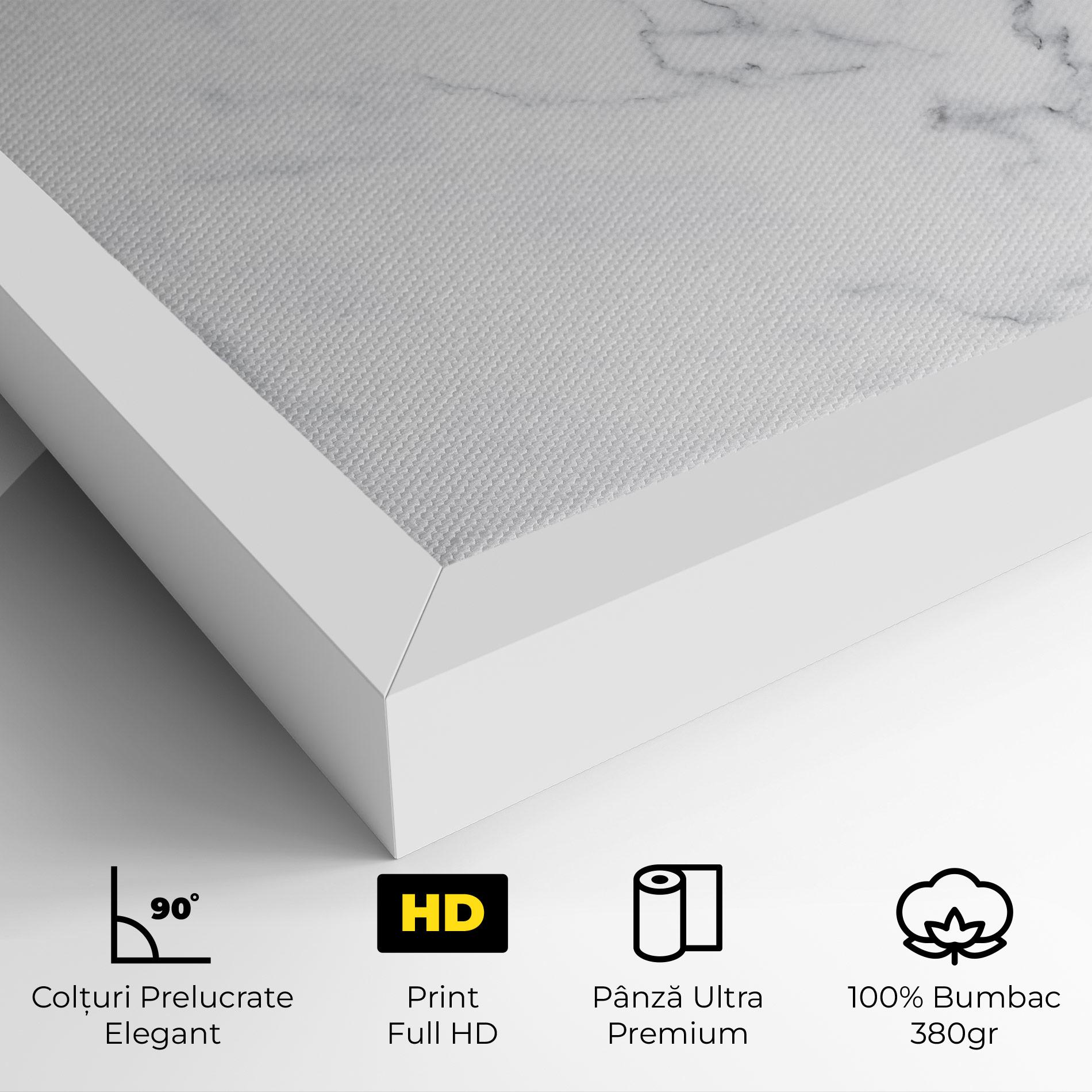 Tablou Canvas White Marble Texture mockup 4