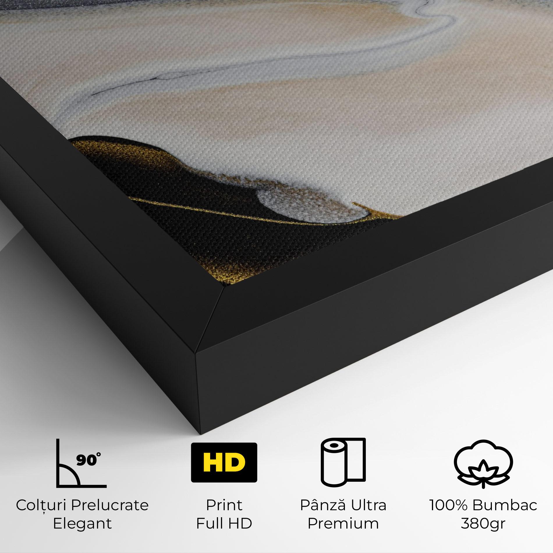 Tablou Canvas Black Light Grey mockup 4