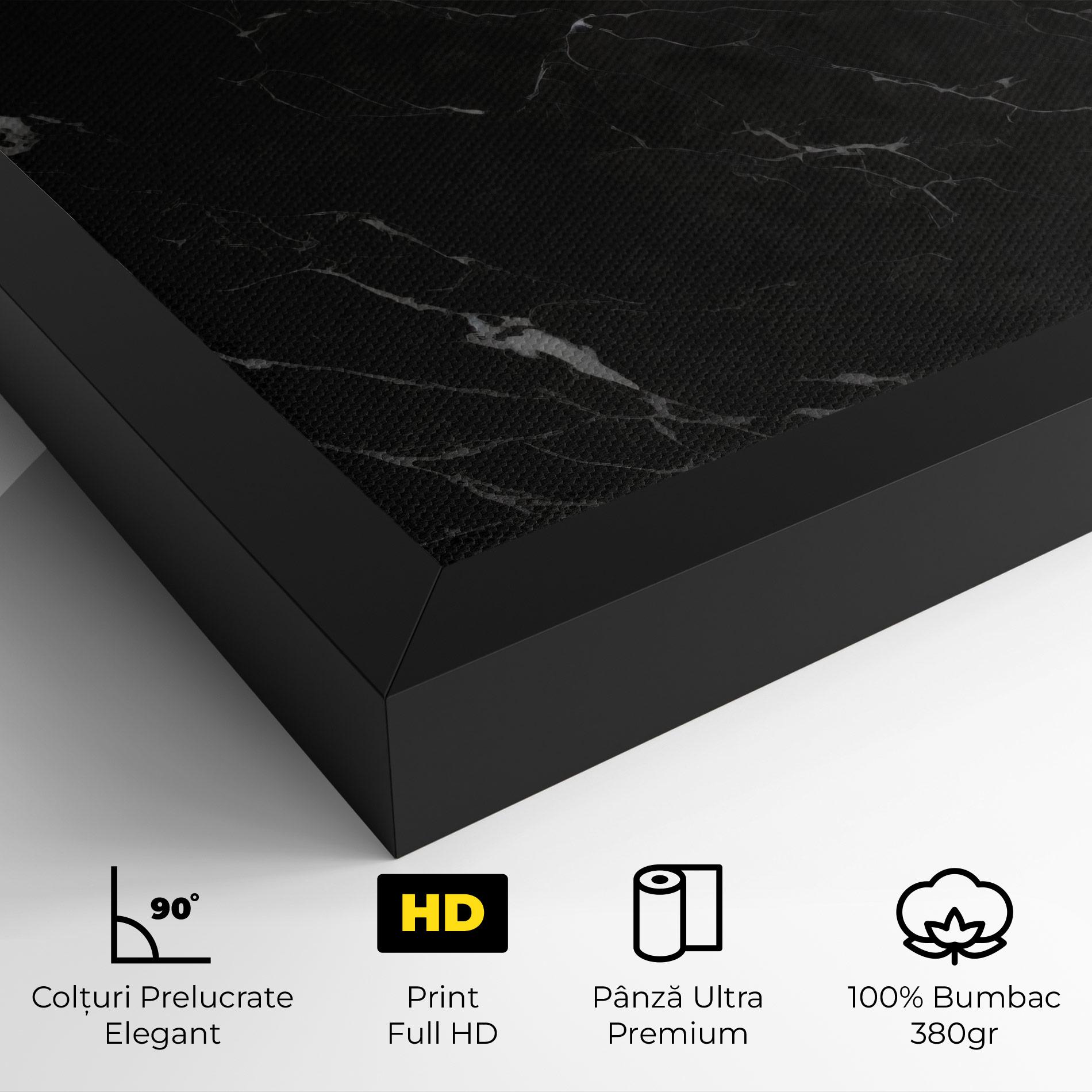 Tablou Canvas Black Marble mockup 4