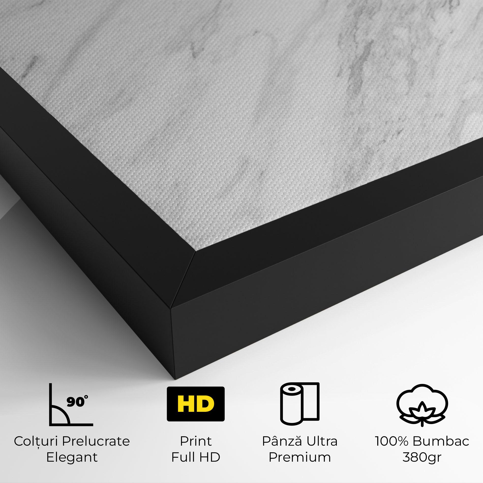 Tablou Canvas Light Grey Marble mockup 4