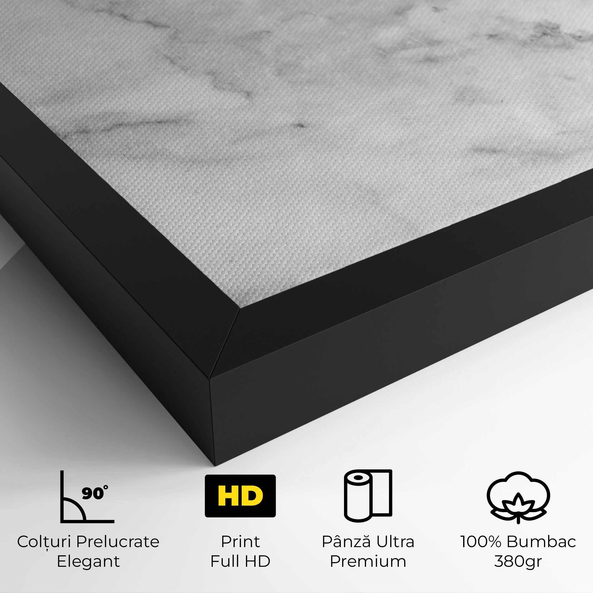 Tablou Canvas Marble Light Grey mockup 4