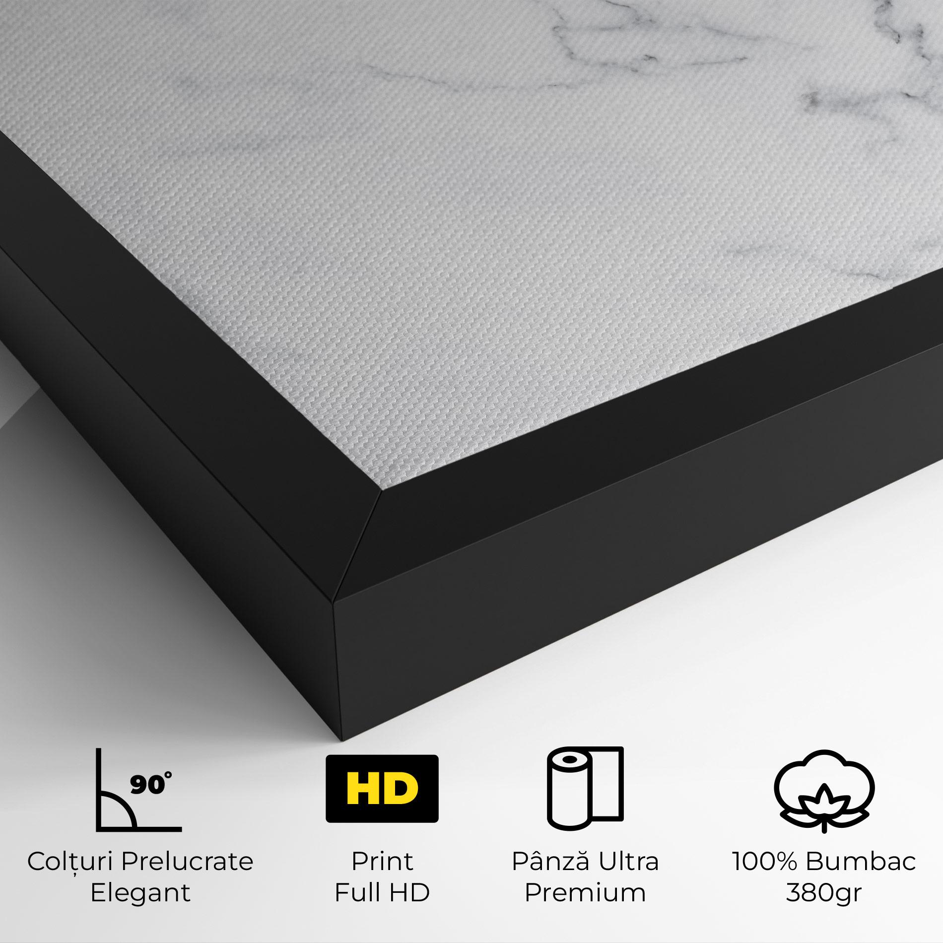 Tablou Canvas White Marble Texture mockup 4