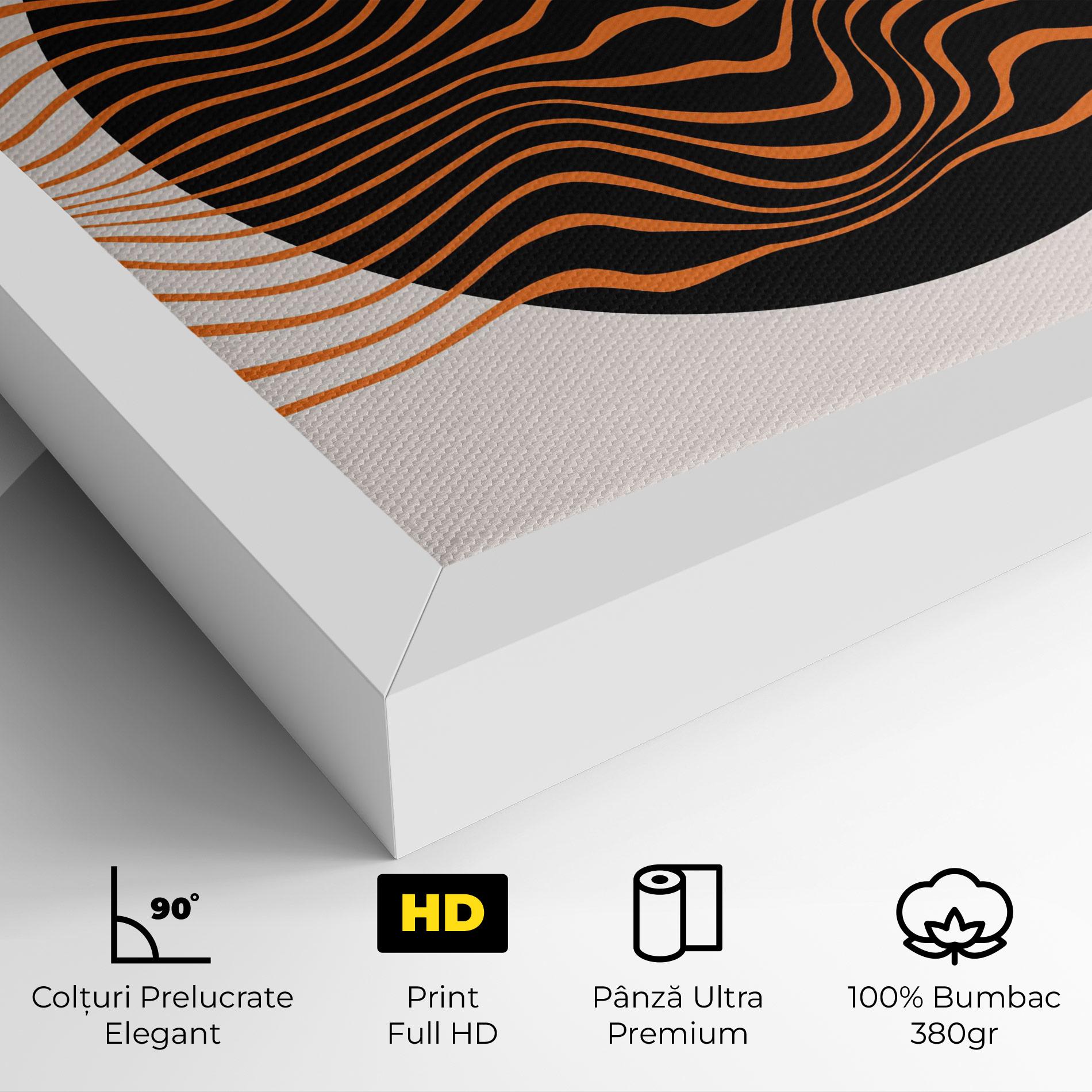 Tablou Canvas Black Circle mockup 4