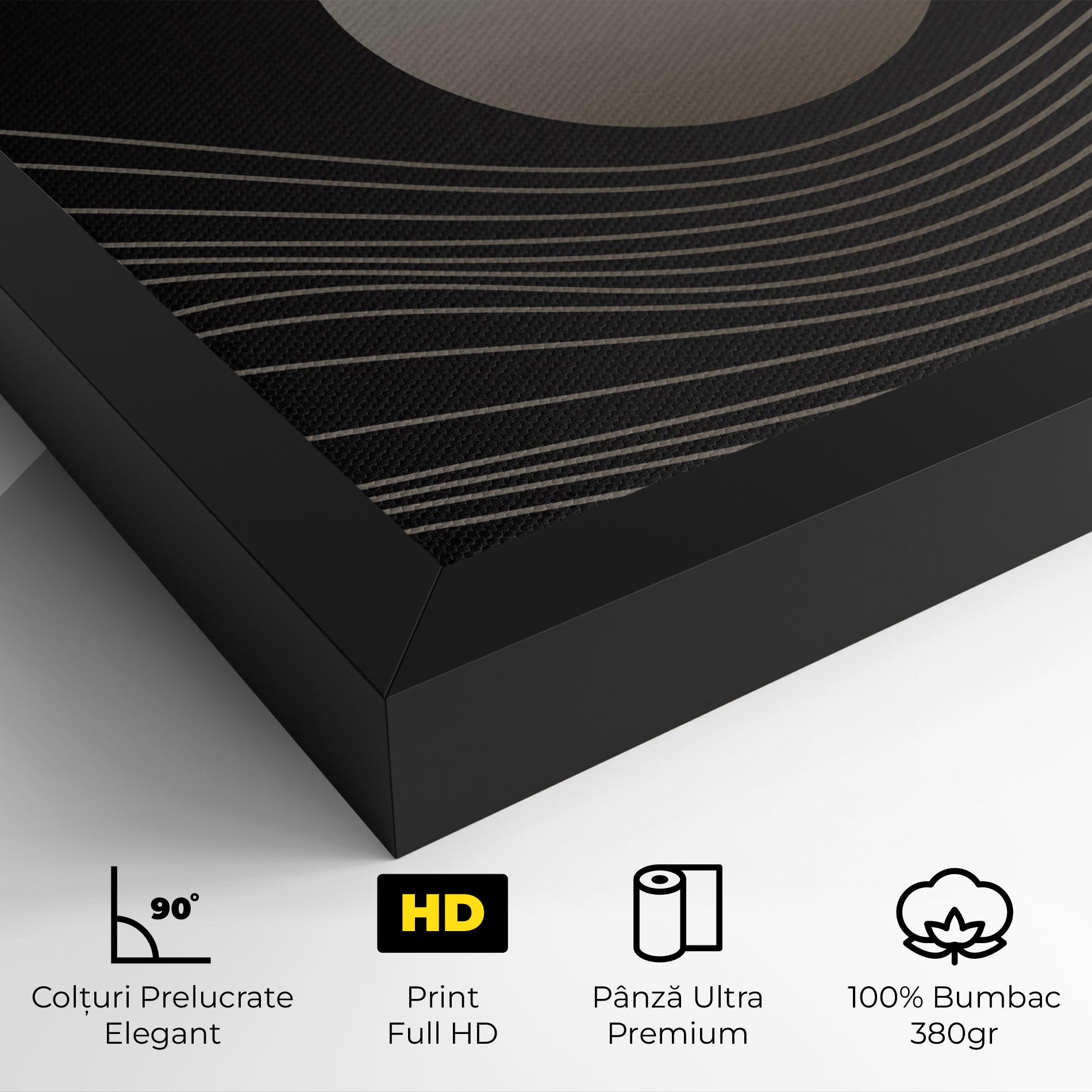 Tablou Canvas Grey Moon mockup 4